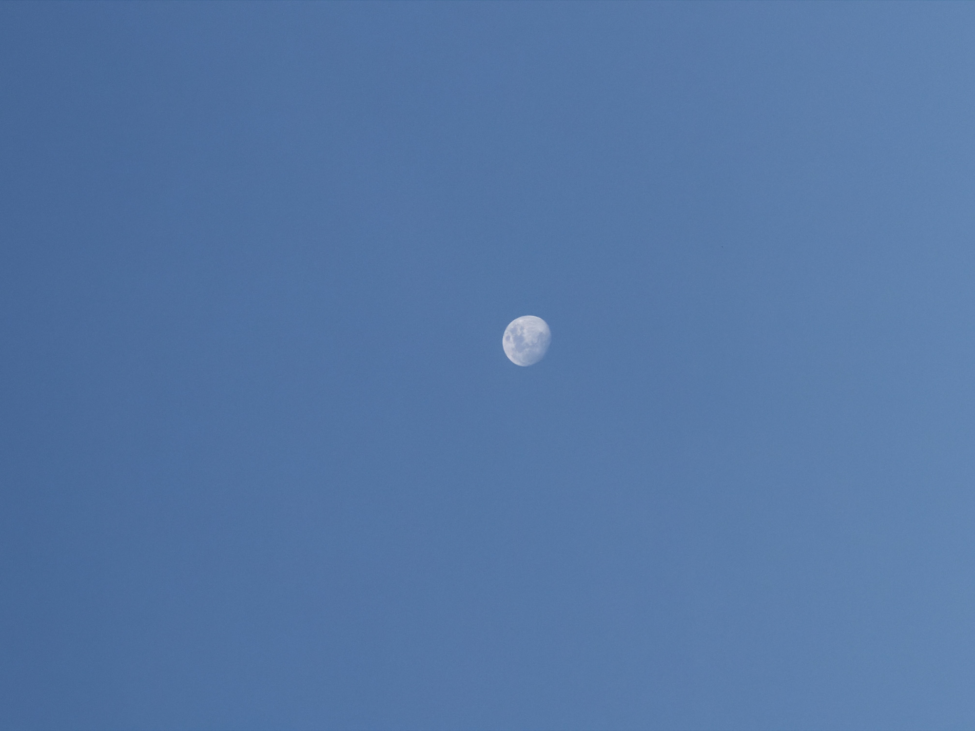 The image displays a clear blue sky with the moon visible during the daytime. The sky occupies the majority of the frame, presenting a uniform, cloudless medium blue hue. Centered within this expanse is the moon, appearing as a distinct white sphere. Its surface features, including variations in brightness and some darker areas (mare), are discernible, suggesting a clear view with good atmospheric conditions. The moon is brightly illuminated, consistent with it being visible in a sunlit sky. There are no other celestial bodies, clouds, or atmospheric phenomena present. No people or artificial objects are visible. No activity or event is depicted beyond the presence of the moon in the daytime sky. The time of day is clearly daytime due to the blue sky. The weather is clear and sunny. No location cues are visible within the image itself, though external context states the photo was taken in Sofia, Bulgaria. No text is visible in the image.