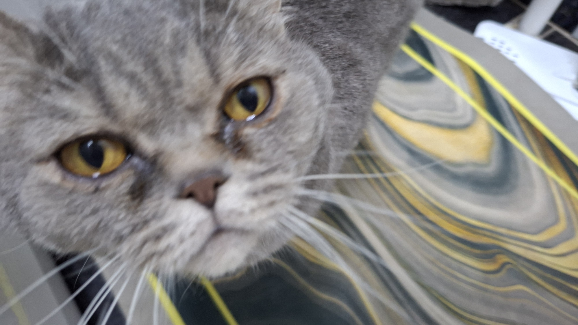 A close-up shot shows a grey tabby cat with striking yellow eyes. The cat's head is tilted towards the camera, its face filling much of the frame. The background features a surface with a swirling pattern of grey, white, and yellow hues. Part of a white object is visible in the upper right corner. The location is Chaikovsky, Russia.