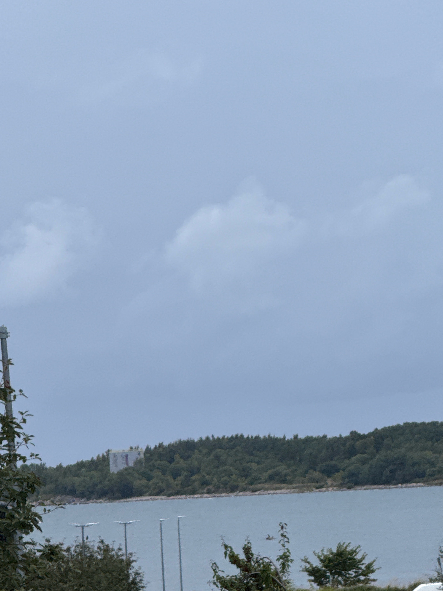 The image depicts a cloudy sky over a body of water, likely the Baltic Sea, with a tree-covered coastline visible in the background. On the distant shore, a multi-story building with a light-colored facade and some visible markings stands amidst the dense green foliage. In the foreground, to the left, a portion of a metallic pole with some green foliage attached suggests it might be part of a street light or a similar urban fixture. Several similar poles with lights are spaced out across the water's edge. The water itself appears calm, with a few small ripples. The overall atmosphere is overcast and muted, suggesting a cool or temperate climate. The scene is likely located in or near Tallinn, Estonia, given the visual cues of coastal landscape and potentially urban infrastructure. There are no people or animals clearly visible in the frame.