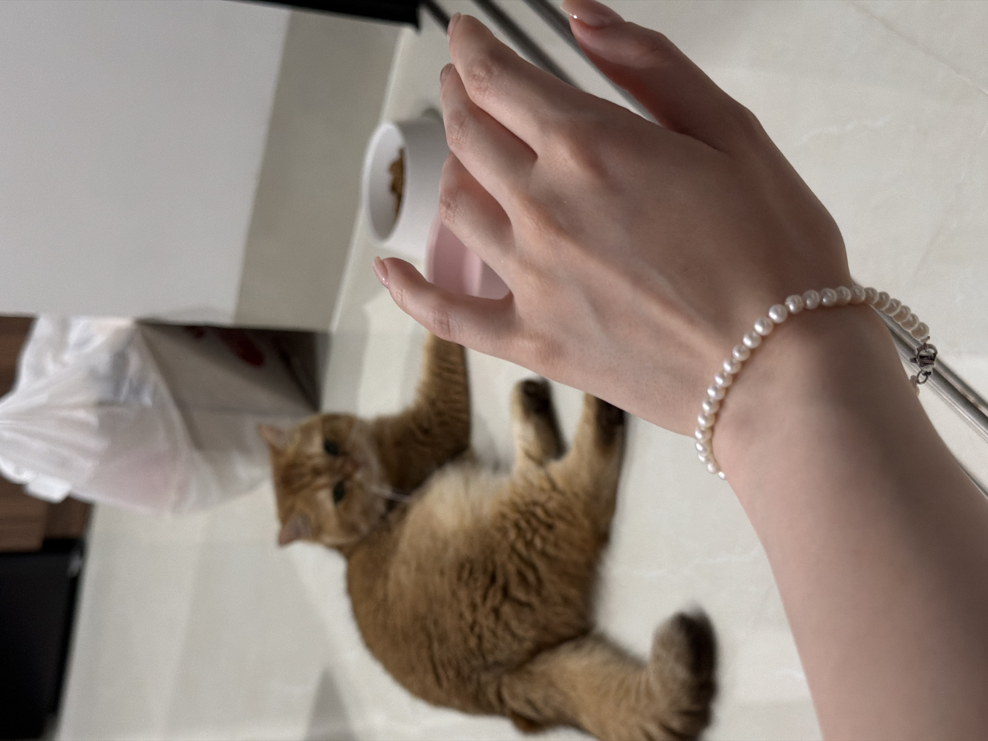 The image shows a light-skinned hand holding a white and pink cat food bowl filled with dry food. The hand is adorned with a pearl bracelet. Below the hand, there is an orange cat lying on a white, possibly marble, surface. A white cabinet is visible in the upper left corner of the frame. The setting appears to be indoors, possibly a kitchen or dining area. The location of Đà Nẵng, Vietnam, is not discernible from the visual elements of this image.