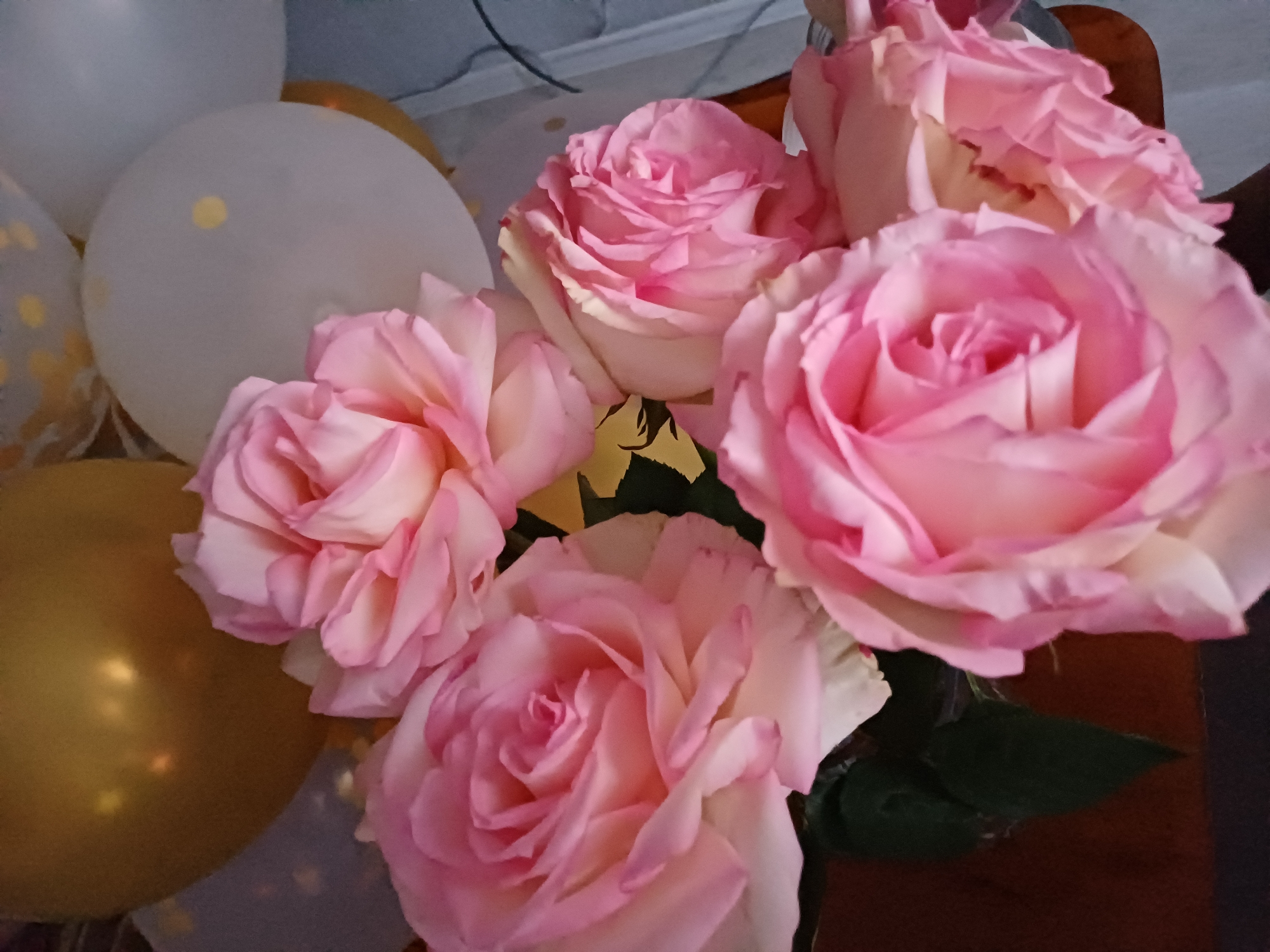 A bouquet of five pink roses with delicate white edges sits in a vase in front of a background of balloons. One large gold balloon is visible on the left, and several white balloons with gold polka dots are on the right. The roses are the primary focus, with their soft petals and layered structure in sharp detail. The overall scene suggests a celebration or special occasion. The location is not specified in the image.