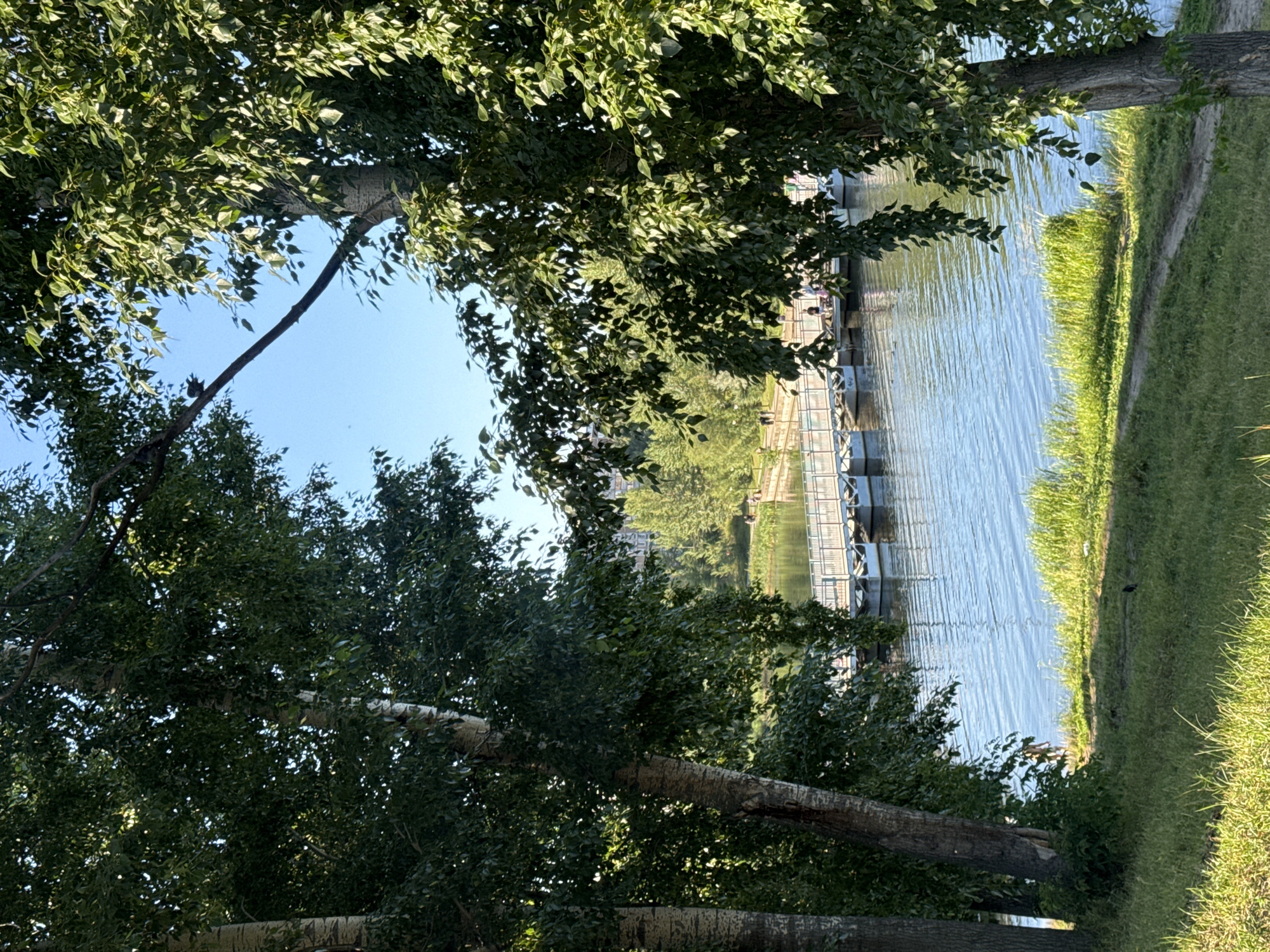 This is a wide, vertical, eye-level shot of a scenic park area in Nizhny Novgorod, Russia, likely during late afternoon, judging by the warm, soft sunlight. The foreground is dominated by lush green grass with a dirt path winding through it. In the middle ground, a tranquil blue body of water reflects the clear sky. A white, modular pedestrian bridge stretches across the water, and several people can be seen walking on it and gathered near the far bank. Tall trees with dense green foliage frame the scene on both sides, with their trunks and branches visible. In the far background, buildings and more trees suggest the presence of a developed urban area beyond the park. The overall impression is one of a peaceful, natural setting within a city.
