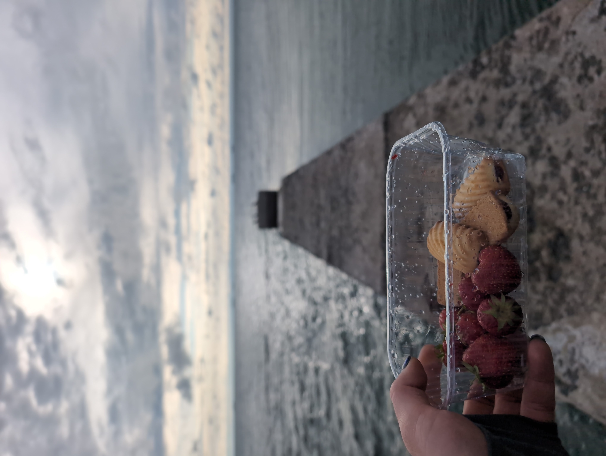In the foreground, a person's left hand, with dark nail polish, holds a clear plastic container filled with fresh strawberries and several sandwich cookies. The container is covered in condensation droplets. The background reveals a body of water, likely the Black Sea, with visible waves and a weathered concrete pier extending into the distance. The sky above is overcast with dramatic clouds. The pier appears to be part of a breakwater or coastal defense structure, possibly located near Odesa, Ukraine, known for its maritime landscape and historic ports. The overall scene conveys a sense of calm and contemplation against a natural, oceanic backdrop.