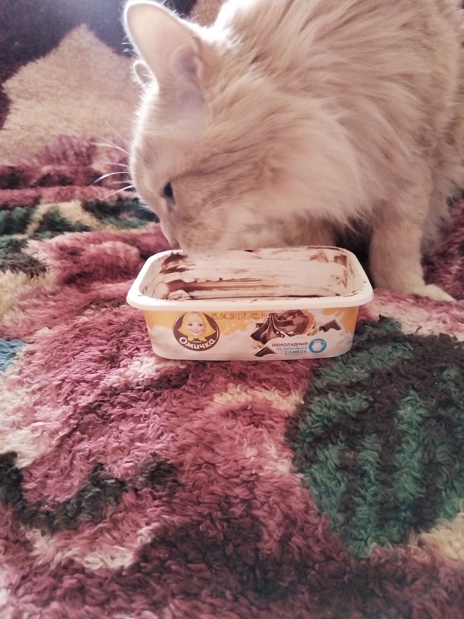 A light orange cat is eating chocolate ice cream from a small, rectangular white and yellow container. The container has the words "Омичка" and "шоколадный из свежайших сливок" written on it, and a picture of a smiling blonde girl with a head scarf. The date "05.04.26(1)7 02.10" is also on the container. The scene takes place on a colorful patterned blanket or rug. The location is Chaikovsky, Russia, based on the Russian writing on the ice cream container.
