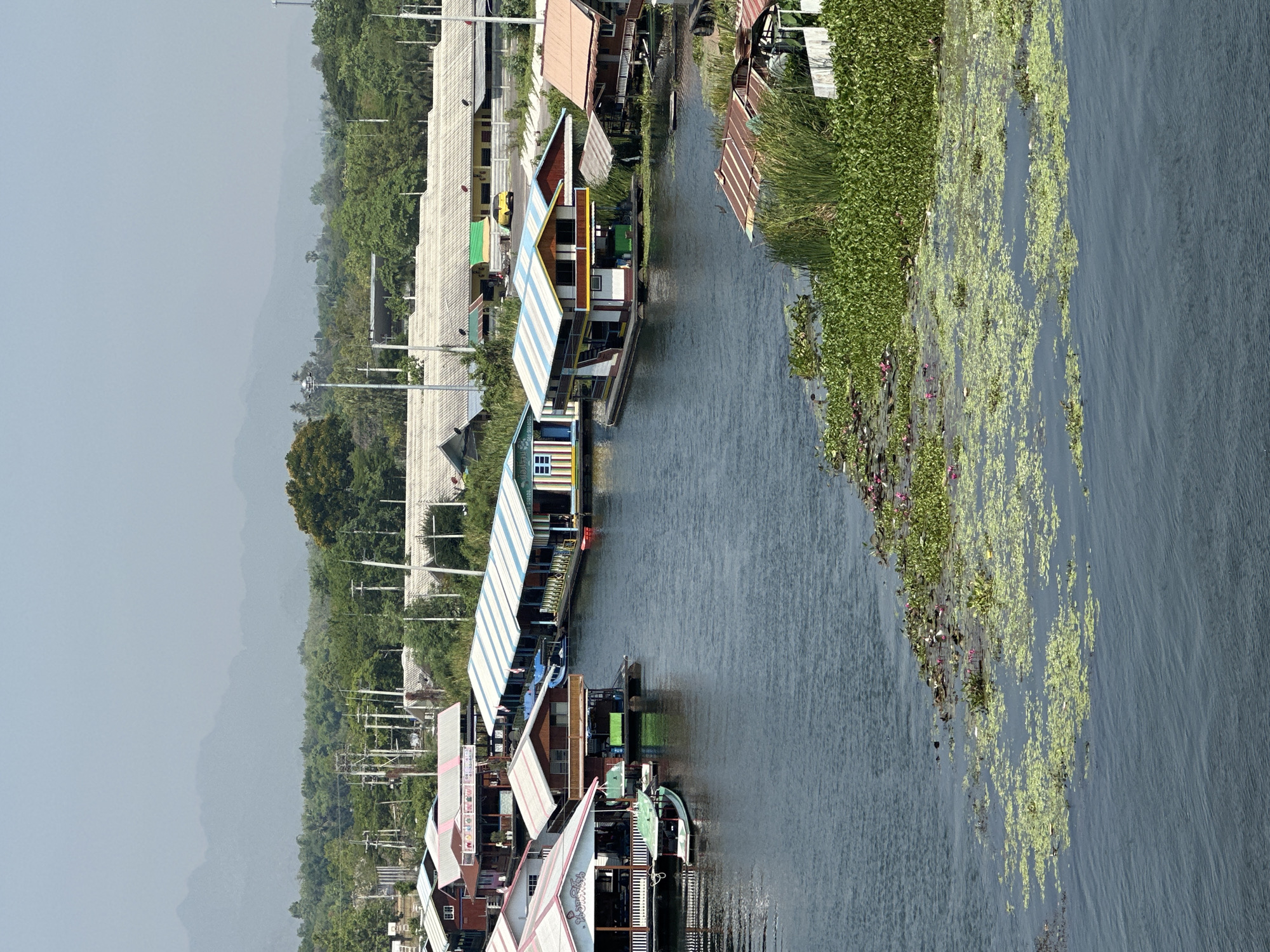 The image shows a waterscape in Ban Yang, Thailand. Several houses on stilts line a waterway, their roofs varying in color and design. One structure has a yellow trim outlining its facade. Lush green vegetation flanks the waterway on the right. The water itself is a deep blue-gray, partially covered with green algae and water lilies. The background reveals a skyline obscured by mist and foliage. Utility poles are visible along the shoreline.