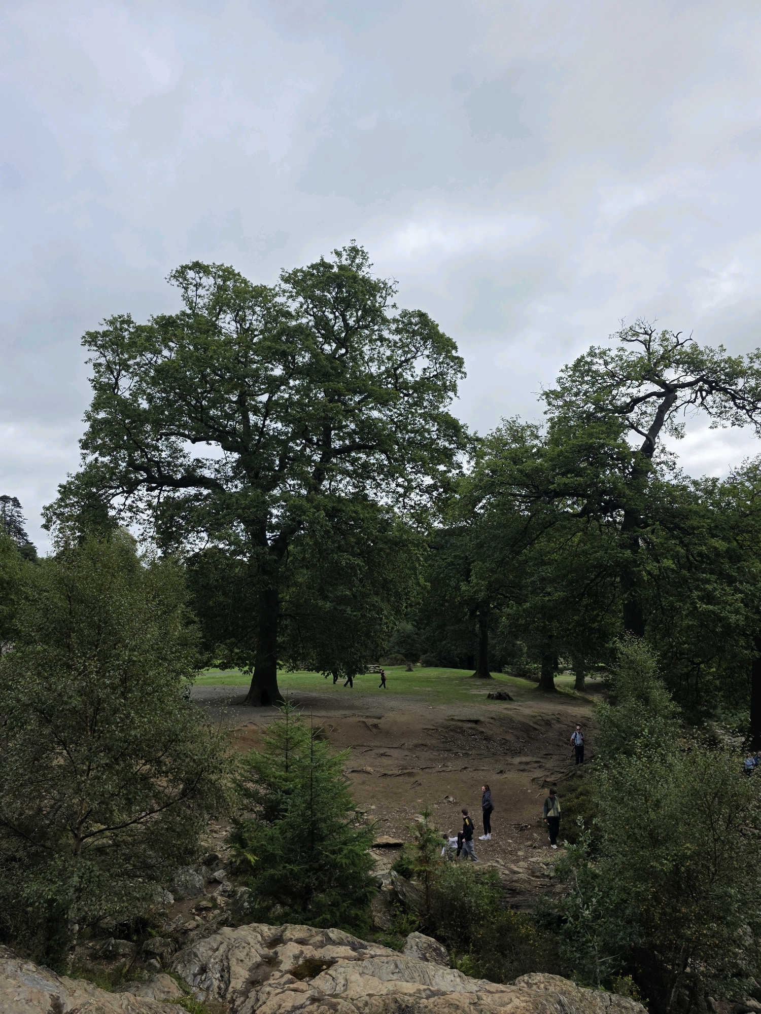 The image depicts a park-like setting with large, mature trees dominating the landscape. The sky is overcast with scattered clouds. In the foreground, there are rocky outcrops and sparse vegetation. Further into the scene, a clearing with a dirt path is visible, where several individuals are present.
On the dirt path, a group of five people is scattered. Two individuals, a male and a female, are standing together. To their left, another individual, possibly a child, is walking. Further to the left and slightly behind, a female is standing. In the background, another person, a male, is walking away from the camera.
In the middle ground, more trees are present, with a large, old oak tree prominently featured on the left side of the frame. The ground in this area appears to be a mix of dirt and grass. In the far distance, more trees and foliage create a dense forest backdrop. A single person is visible walking on the grass in the far distance.
The overall impression is a natural, outdoor environment, possibly a park or a nature reserve, in Old Long Hill, Ireland. The presence of people suggests it is a location accessible to the public for recreation or leisurely walks.