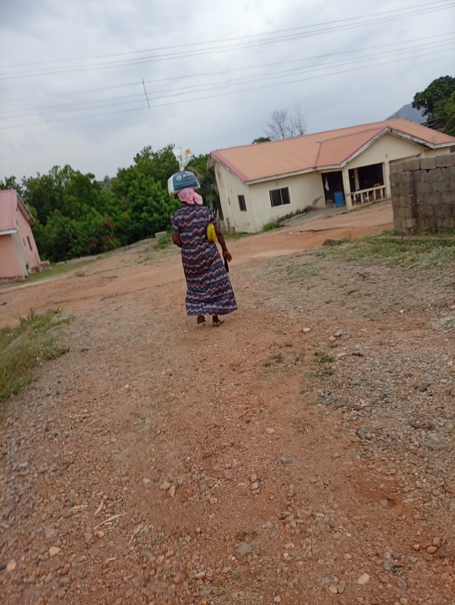 The image depicts a person walking away from the camera on a gravel and dirt road under an overcast sky. The subject, likely a woman, wears a long, patterned dress with blue, white, and red zigzag designs and a pink headwrap. She is skillfully balancing a square-shaped item, possibly a container or package wrapped in white plastic with a blue label, on her head. A yellow object, likely a bag or cloth, is held in her left hand.
The setting appears to be a semi-rural area. In the background, two houses are visible. On the right, a light cream-colored house with a reddish-orange corrugated metal roof stands, featuring a porch supported by white pillars and a small window. A partial wall of concrete blocks is situated next to this house. On the far left, a smaller, light pink house with a similar roof is partially seen. Lush green trees and foliage dominate the mid-ground, and faint hills are discernible in the distance. Overhead utility wires stretch across the cloudy sky. The ground is a reddish-brown dirt path mixed with small grey and brown stones. The scene portrays an everyday activity in Adankolo, Nigeria, during what appears to be a cloudy day.