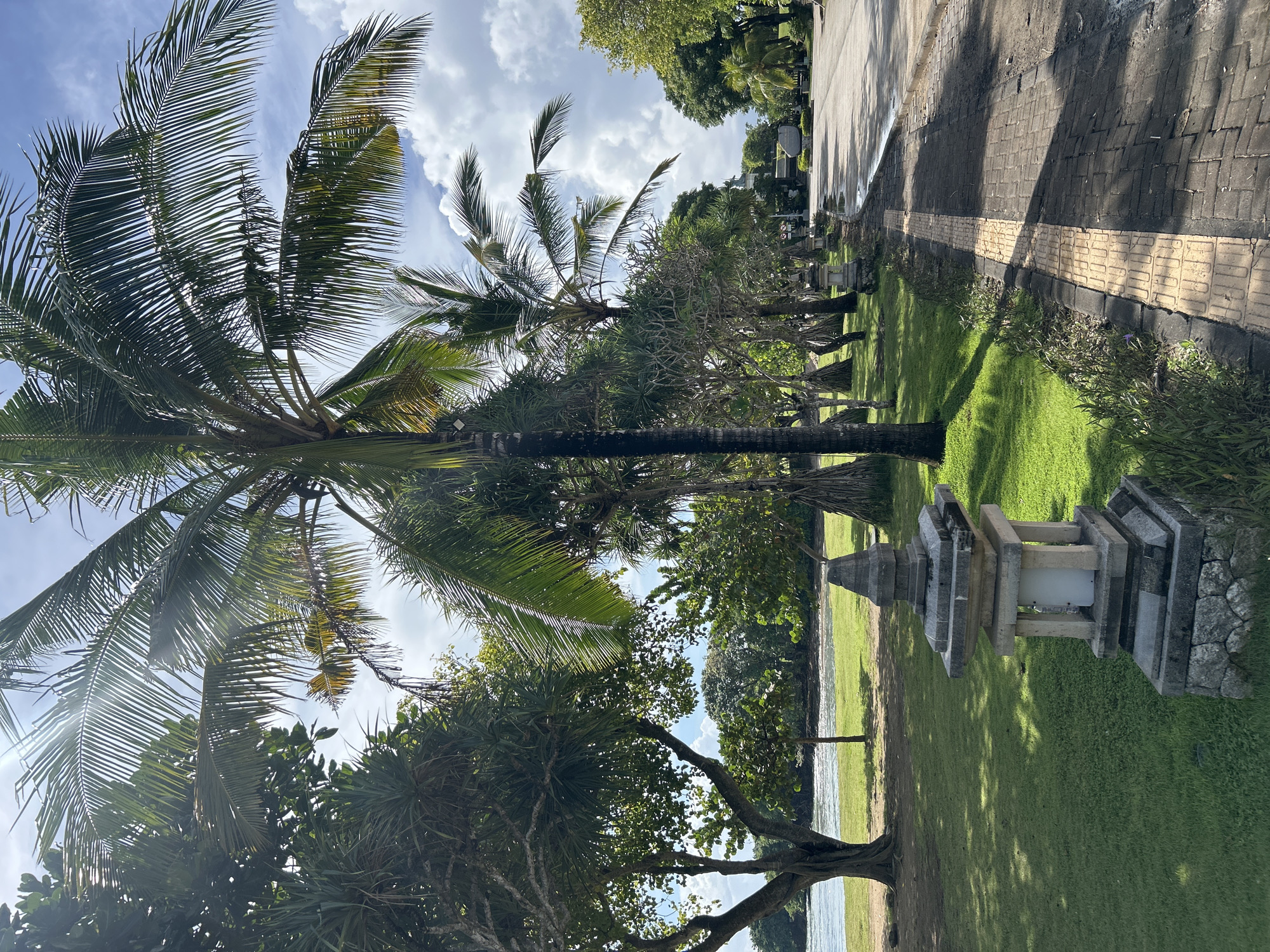 This image, when viewed in its intended landscape orientation, displays a vibrant tropical outdoor scene, likely a park or garden adjacent to a body of water, on a clear, sunny day.
A prominent, tall coconut palm tree dominates the left side of the frame, its large fronds extending upwards and across the sky. Bright sunlight creates a lens flare visible through its leaves. Other lush tropical trees with dense green foliage and thick trunks are scattered throughout the midground, casting long shadows across the bright green grass that covers much of the ground.
In the background, a calm body of water, possibly the ocean or a large lake, is visible, reflecting the blue sky. Along the right side of the image, a paved pathway made of light-colored bricks runs through the scene, bordered by smaller plants and bushes. A distinctive grey stone lantern or monument, featuring a multi-tiered angular design and a light fixture, stands in the midground, near the grassy area and the water's edge.
The sky is bright blue with scattered white, fluffy clouds. The strong, direct sunlight and the distinct shadows cast by the trees suggest a late morning or early afternoon setting. No people or visible text are present. The abundant palm trees, tropical vegetation, and the style of the stone lantern are consistent with the provided location context of Kuta Selatan, Indonesia, evoking a peaceful and serene atmosphere.