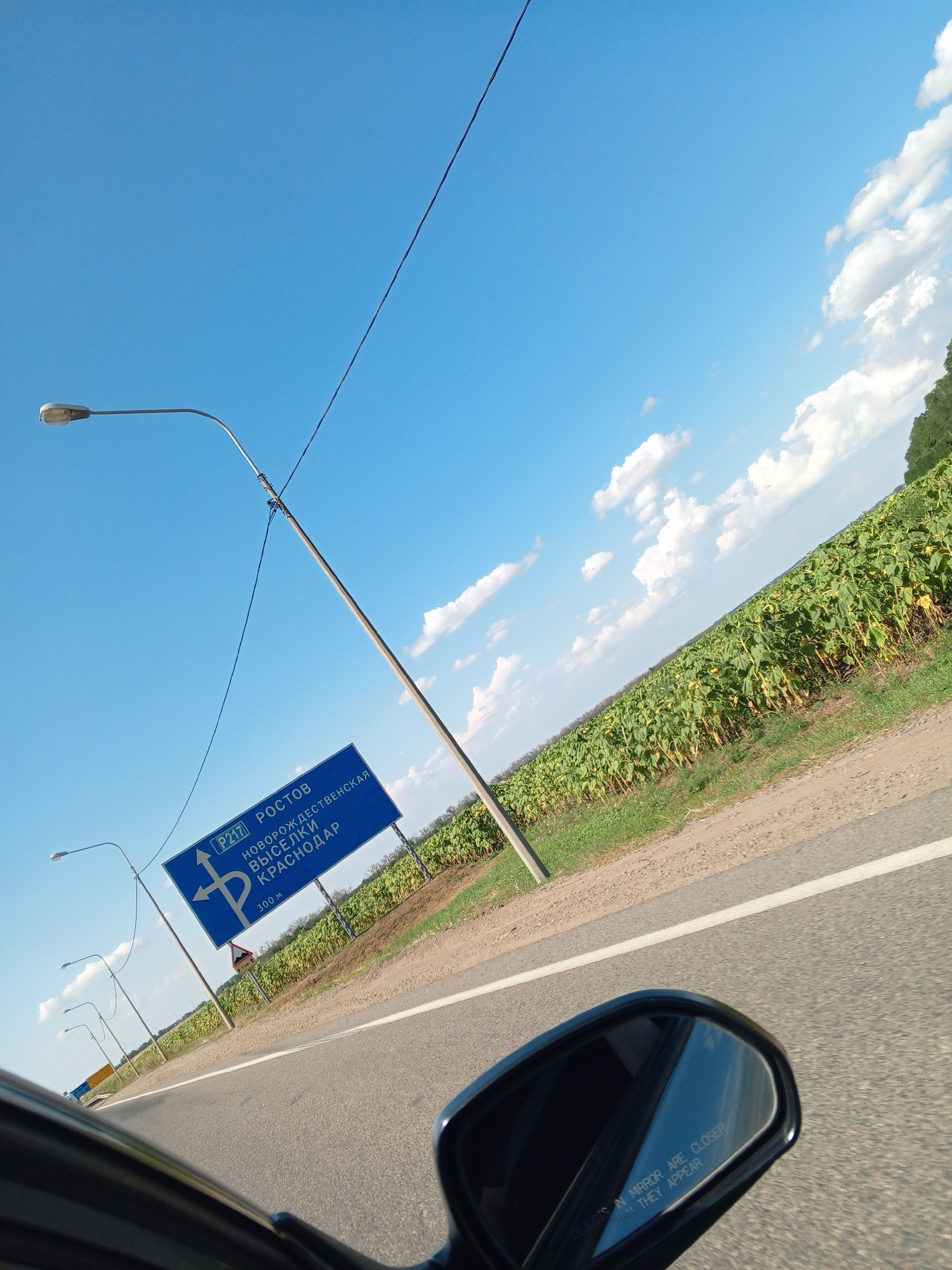 The image captures a view from inside a vehicle driving on a road, indicated by the presence of a car's side mirror in the foreground. The mirror reflects the sky, a small portion of the car's interior, and the text "OBJECTS IN MIRROR ARE CLOSER THAN THEY APPEAR." The road is paved and has a white lane marking. To the right of the road is a large field of sunflowers, their heads facing upwards towards the bright blue sky dotted with white clouds. A traffic sign in Russian, with destinations like "ROSTOV," "NOVORODEZHSKAYA," "VISELKI," and "KRASNODAR," is visible on a pole. The sign also indicates a distance of "300 M." Several streetlights line the left side of the road. The overall scene suggests a rural or roadside environment in Russia, likely near a sunflower field, on a sunny day. The specific location mentioned, Fastovetskaya, Russia, aligns with the presence of Russian language on the signage.