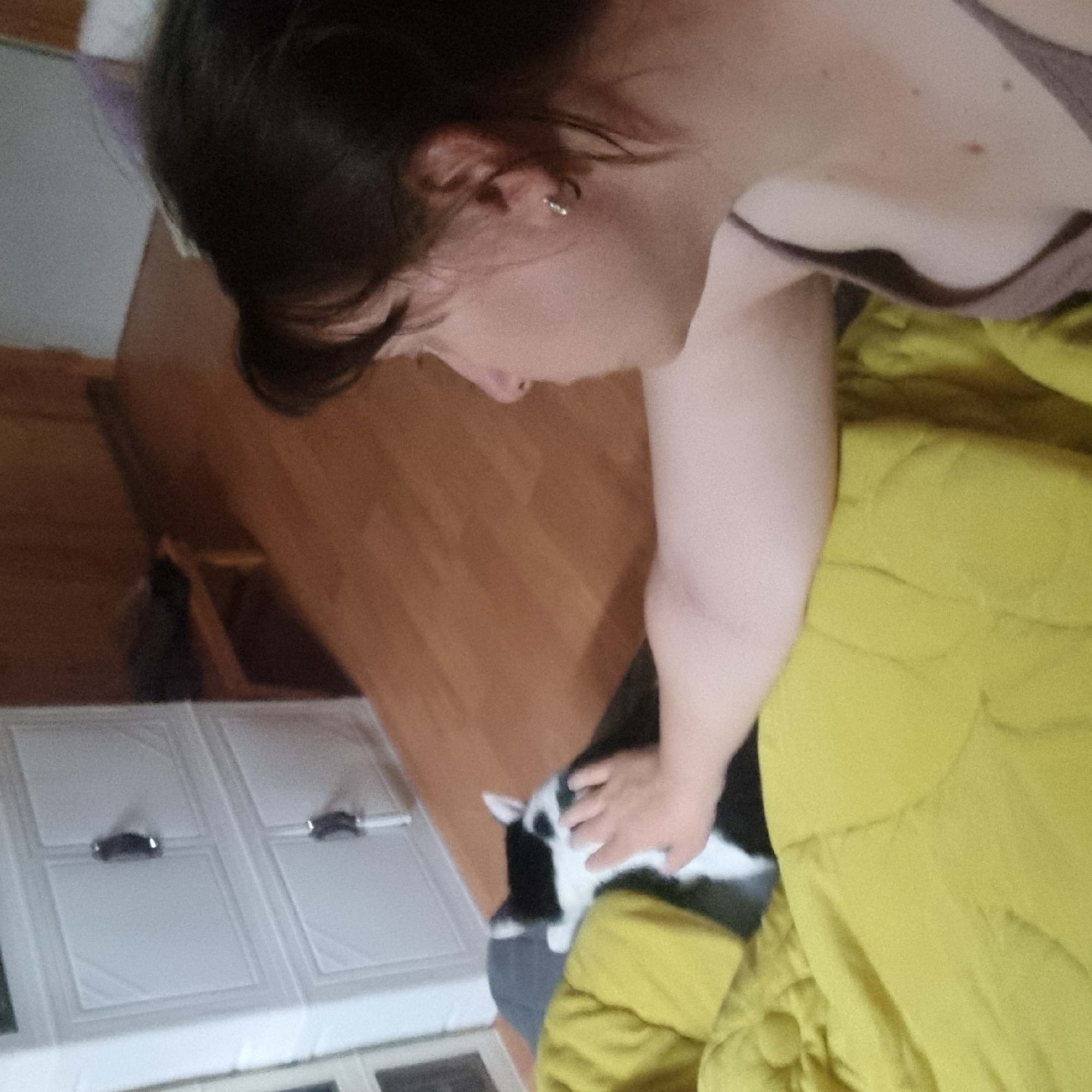 A person is petting a black and white cat that is lying on a yellow blanket. The person's arm and hand are visible, reaching towards the cat. The cat is facing away from the camera. In the background, there is a white plastic cabinet with two drawers, a wooden floor, and a wooden shelf. The image appears to be taken indoors.