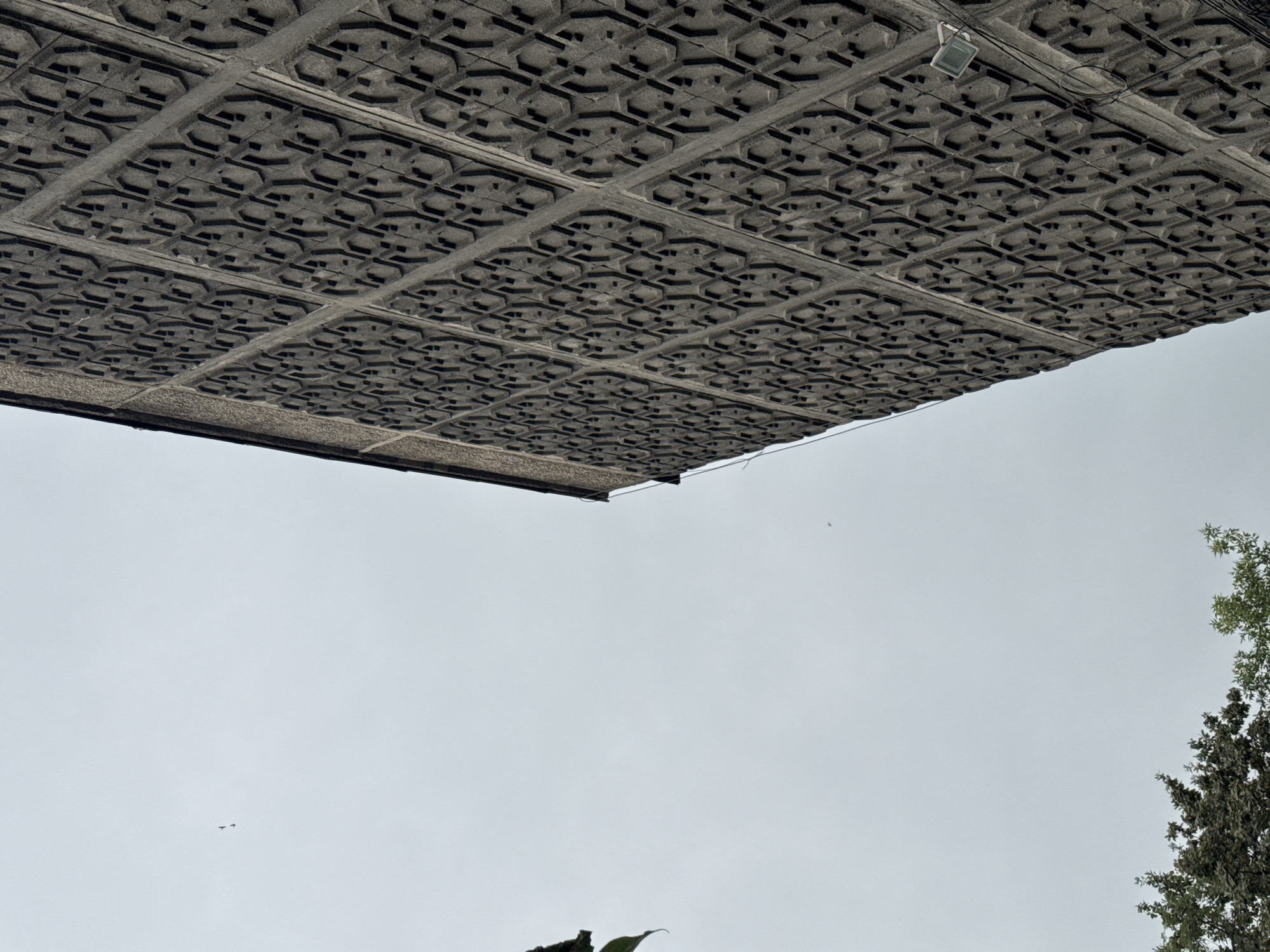 The image shows a close-up, low-angle view of the exterior of a Brutalist-style building with a textured concrete facade featuring a repeating geometric pattern. The building's wall dominates the right side of the frame and extends upwards. The sky, a pale, overcast gray, occupies the left and upper portions of the image. A few dark green tree branches are visible in the lower left corner. Two small dark specks, possibly birds, are discernible in the sky. A modern light fixture is attached to the building's facade on the right side, with some electrical wiring visible. The building's architectural style and the presence of overcast skies are common characteristics in Bishkek, Kyrgyzstan, particularly in mid-20th century Soviet-era architecture.