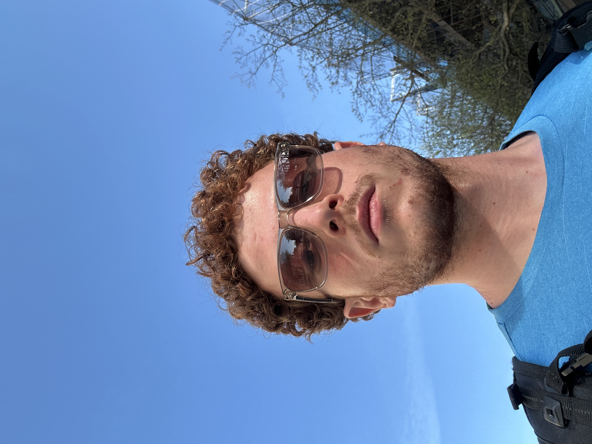 A selfie-style photo, taken from a low angle, shows a person wearing sunglasses, with a blue sky and bare tree branches in the background. The person has light skin, curly brown hair, and a short beard. The sunglasses have a light-colored frame. They are wearing a blue t-shirt with a black strap from a backpack visible over the shoulder. The image appears to be taken outdoors, possibly in an urban area given the buildings reflected in the sunglasses and the presence of bare tree branches, which might be indicative of early spring or late fall. The city of New York is not discernible from the image alone.