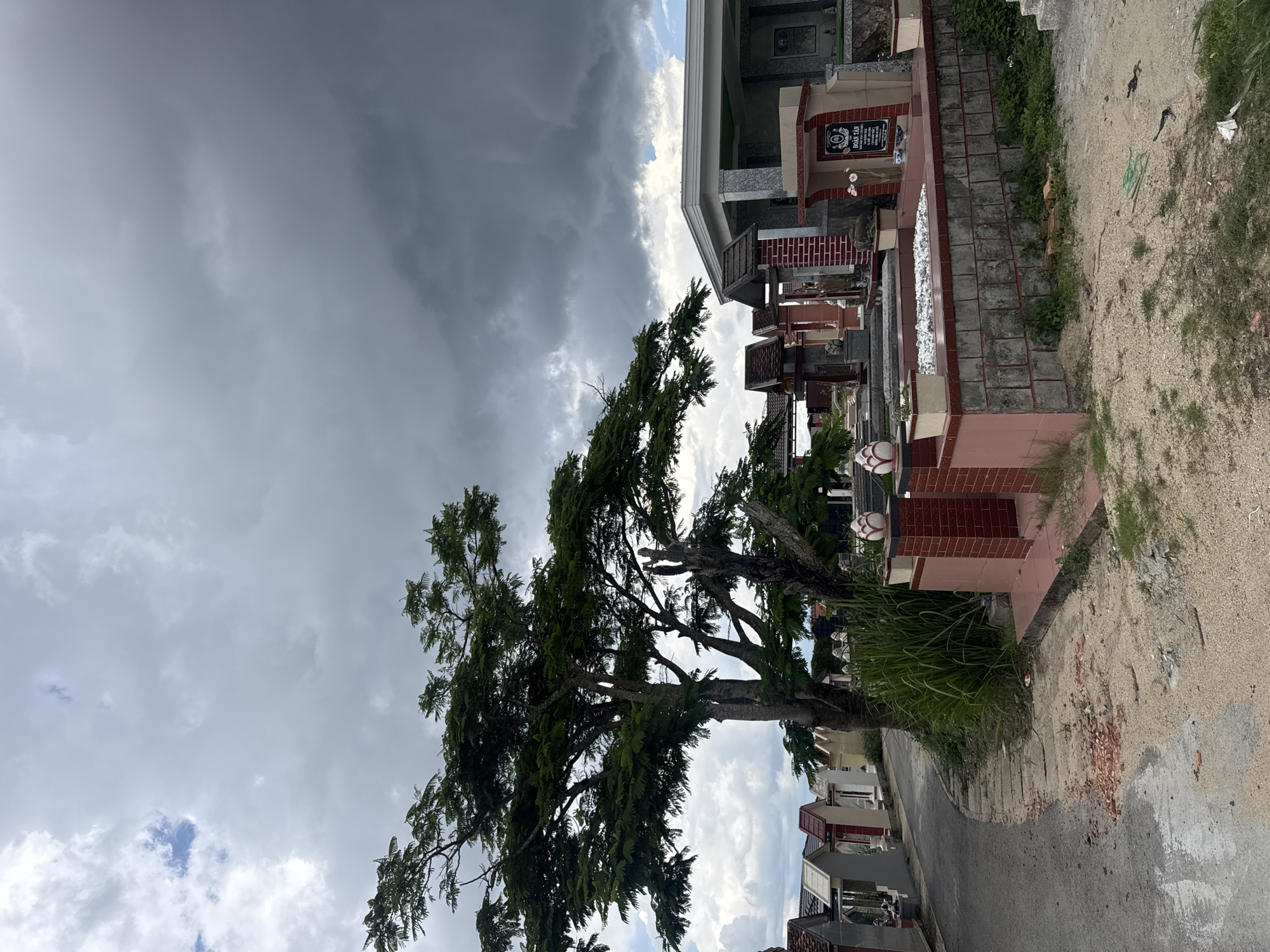 The image depicts a cemetery in Lạc Dương, Vietnam. Tombs are visible along a pathway, overshadowed by a large tree. The sky is filled with dark, ominous clouds. There are no people visible.