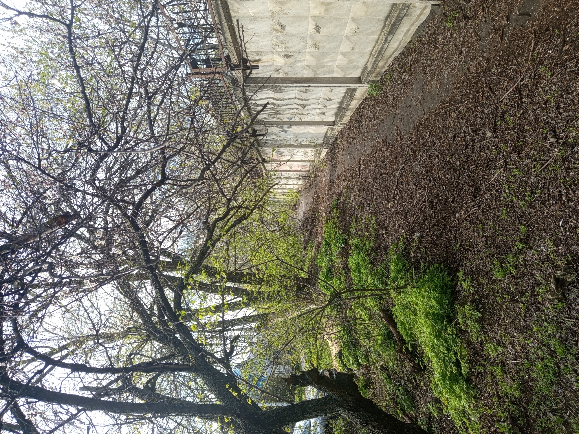 The image depicts a sidewalk adjacent to a concrete wall, bordered by trees and foliage. The wall is patterned with raised geometric shapes. A metal structure, possibly a fire escape, is attached to the wall. The ground is covered with leaf litter and vegetation. The location is suggested to be within the city of совхоза "Воронежский", Russia, although there is no evidence of this in the image. No people are visible. The scene appears to be an urban or suburban environment.