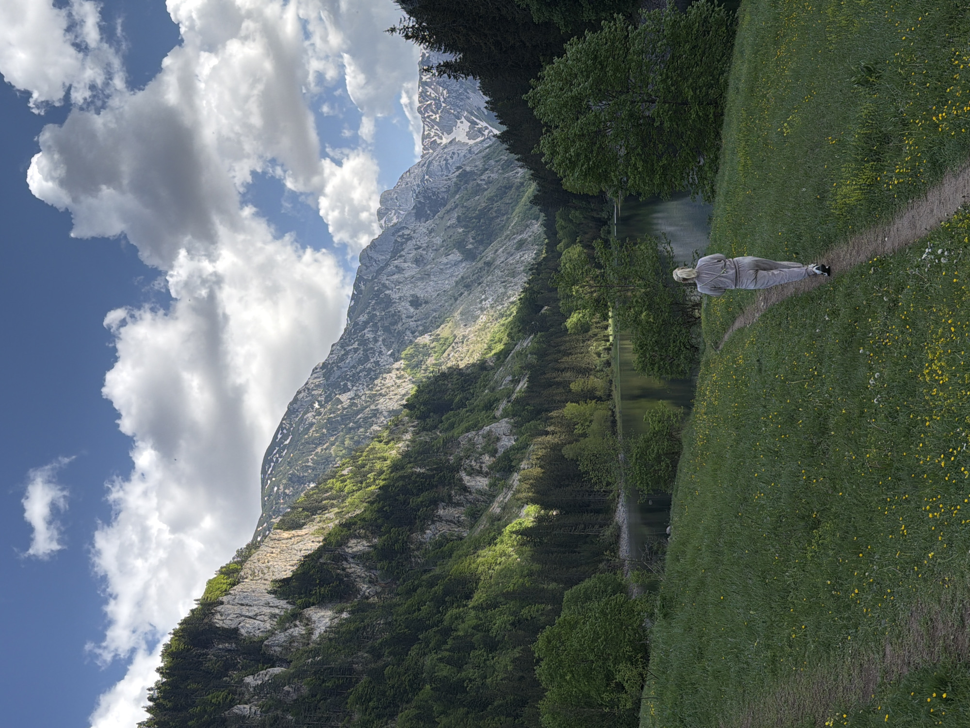 The image captures a scenic view in Pluzine, Montenegro. Dominating the landscape is a large mountain, partially shrouded in clouds and featuring rocky terrain with patches of greenery and snow at its peak. Lush green trees cover the lower slopes of the mountain. Adjacent to the mountain is a narrow body of water, lined with trees, which runs along a grassy field. A dirt path traverses the field, on which a person dressed in grey stands with their back to the viewer. The field is covered in green grass and dotted with yellow wildflowers. The sky above is a mix of blue and white clouds.