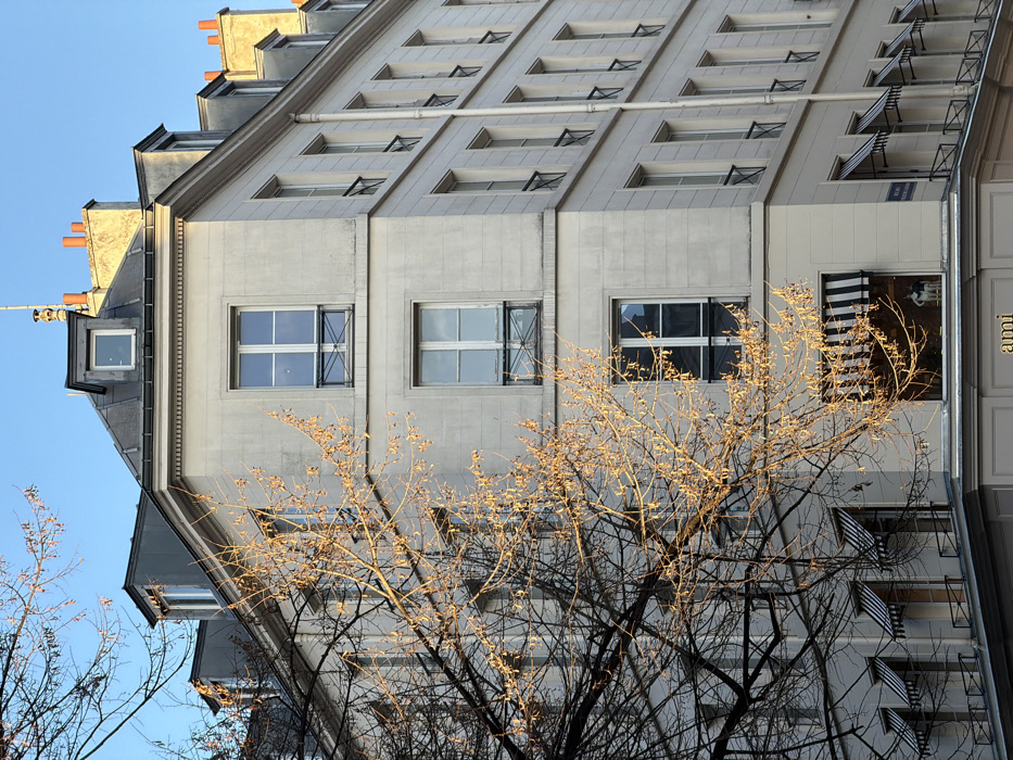 An eye-level outdoor shot captures a tall, gray building adorned with rows of windows. Some windows are slightly open, while the topmost windows have small striped canopies. The building's facade appears tiled or textured. A bare tree with golden-hued branches partially obscures the view, its intricate branches reaching across the building's surface. The sky is a clear blue, visible in the upper left. A sign reading "ami" is visible on the right. The image has a natural, urban feel.