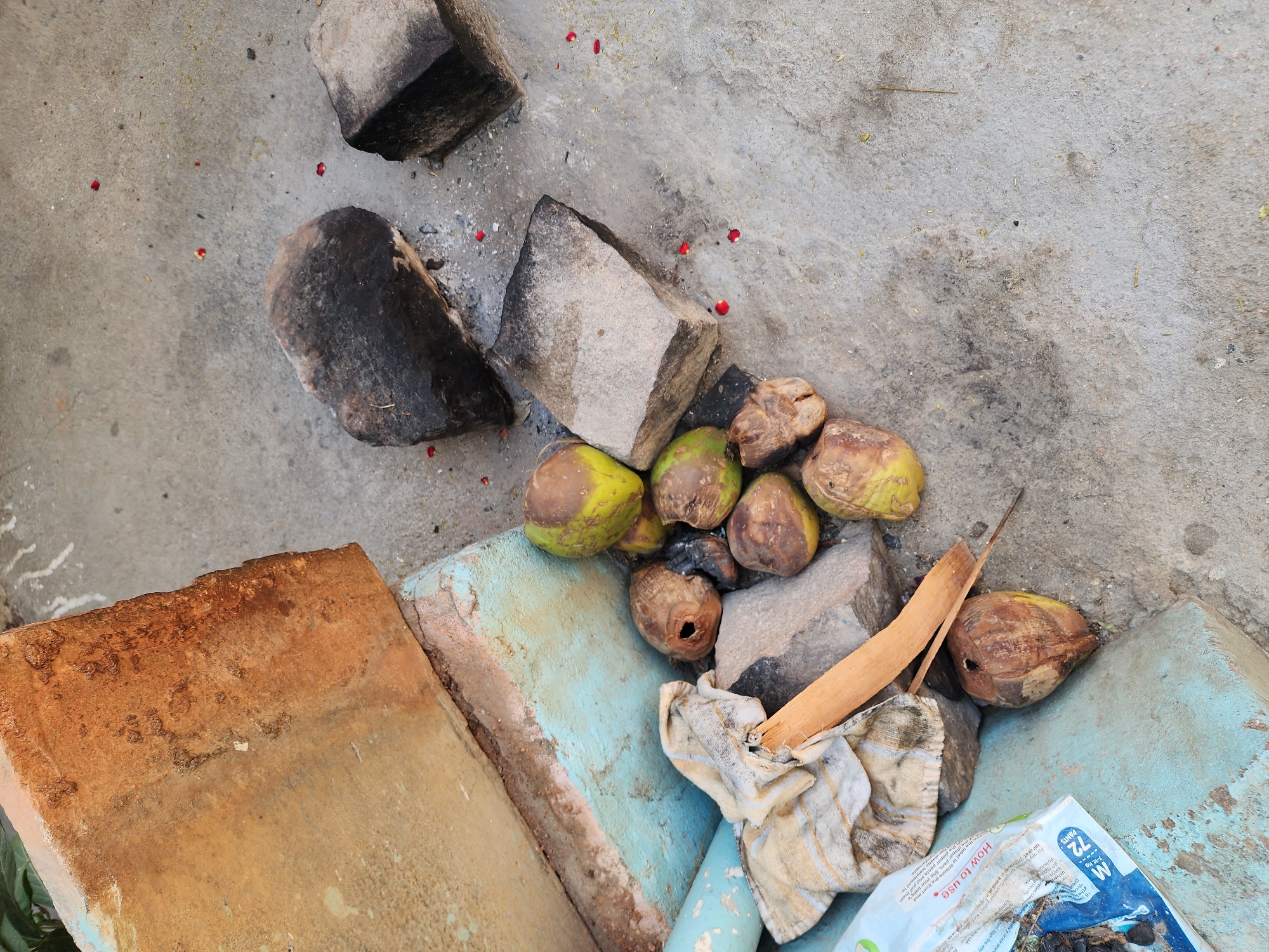 The image captures an outdoor ground-level scene in Pedda Kammavaripalli, India. The primary surface is a light grey concrete or cement floor, exhibiting varied staining, dirt, and scattered small red petals.
In the upper-left background, a rough, rusty-brown textured slab or surface leans against a light blue painted concrete base. A light blue pipe is partially visible near the base of this structure in the lower-left.
A cluster of approximately ten coconuts is positioned centrally and towards the lower-right. These coconuts exhibit varying states, from greenish-yellow with brown decay patches to fully brown and dried. Several of the coconuts possess distinct, dark circular perforations, indicative of being opened.
Adjacent to and partially supporting the coconuts are multiple irregularly shaped stones. Three larger stones, dark grey and exhibiting significant charring or black discoloration, are arranged on the concrete, consistent with use as a makeshift hearth or cooking supports. A smaller, lighter grey stone is also intermingled with the coconuts.
To the left of the coconut cluster, a crumpled, light-colored fabric with faint stripes rests on the concrete, partially obscuring a thin, light-brown wooden stick or splinter. Beneath the fabric, a section of a white and blue plastic bag or packaging, displaying legible text including "HOW TO USE" and "M 72 GRAMS," is visible on the concrete. The concrete beneath the charred stones and coconuts exhibits areas of dark grey and black discoloration, consistent with ash or residue from burning. No individuals are present in the scene.