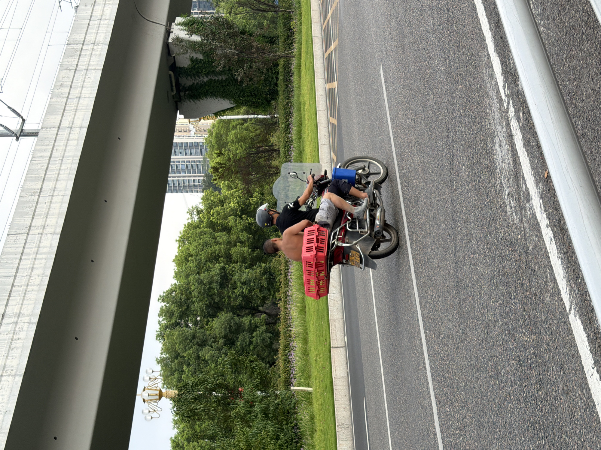 A man, shirtless, is a passenger on the back of a red motorcycle. He is seated behind the driver. The motorcycle is carrying a large, red plastic basket filled with what appears to be fruit. The driver, wearing a black t-shirt and a helmet, is operating the motorcycle. They are on an asphalt road with white lane markings. In the background, there is lush green grass, a row of flowering plants, and dense trees. Overhead, a large concrete overpass or bridge is visible, with power lines running along its edge. Further in the background, several tall buildings are present. The scene is set in Jiangjin District, Chongqing, China, under an overcast sky.