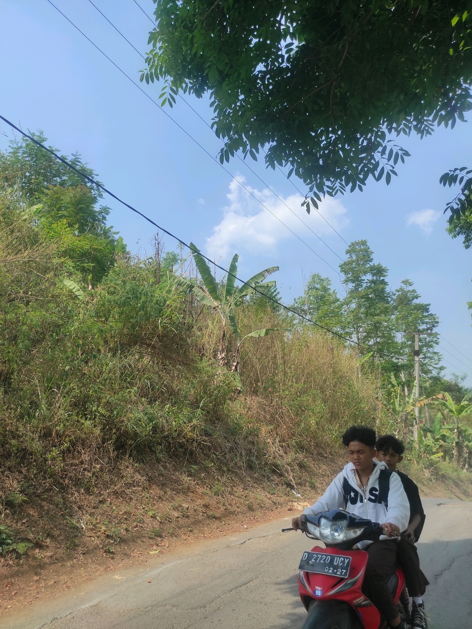 Two young males ride a red motorcycle on a paved road. The driver, wearing a white hoodie with black lettering and dark pants, is in the foreground. The passenger, wearing a black shirt and dark pants, sits behind him. They are both looking forward. The motorcycle's license plate reads "D 2720 UCY 02-27". The road is bordered by a steep, overgrown hillside on the left, with dense vegetation, dry grass, and some banana trees visible. On the right side of the road, more trees and vegetation continue, with a utility pole also present. Power lines stretch across the sky, partially obscured by the leaves of a large tree in the upper right corner. The sky is a clear blue with a few scattered white clouds. The scene appears to be in a rural or semi-rural area, consistent with the landscape often found in the vicinity of Ngamprah, Indonesia. The overall lighting suggests a sunny day.