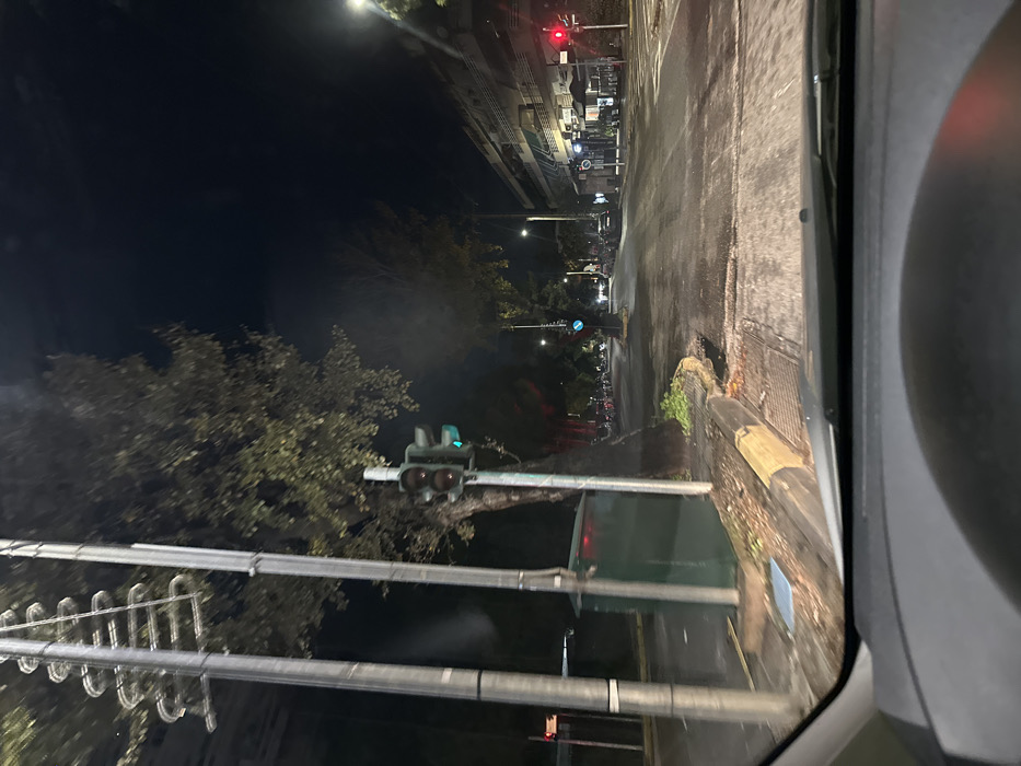 The image presents a nocturnal street scene from what appears to be inside a vehicle, looking forward. The road surface is visibly wet and reflective, suggesting recent rainfall.
In the mid-ground, a set of traffic lights is prominent, with the signal for straight-ahead movement illuminated green. Behind and to the left of the traffic lights, the dark, dense foliage of trees is visible. Above the street, a network of metal poles and arms supports the traffic signals and possibly other overhead lines.
The street extends into the distance, where more streetlights cast light upon the wet asphalt. Another set of traffic lights further down the road displays a red signal. To the far left, an elevated structure, possibly train tracks or a raised pedestrian walkway, runs parallel to the street, with buildings visible beyond it. A blue circular road sign, characteristic of European signage, is discernible in the background but too blurry to read. To the immediate right, the edge of the road features a curb and some sparse vegetation. The rightmost portion of the image shows an internal component of the vehicle, likely a pillar or dashboard.
The scene depicts a typical urban environment at night. No people or legible text are visible in the image.