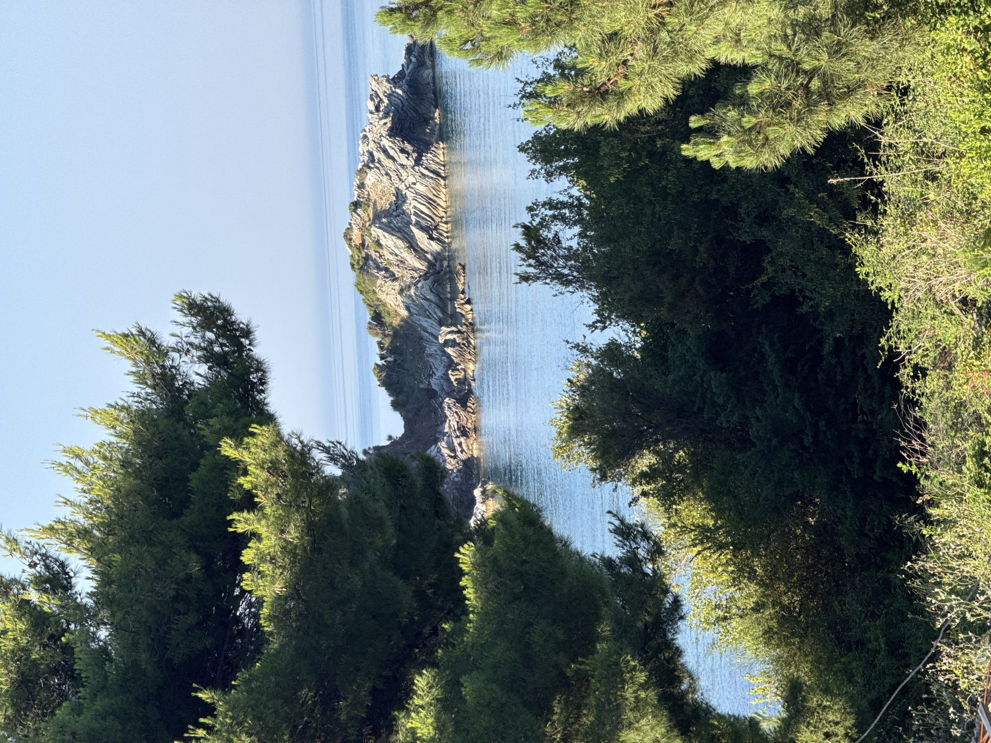 A framed view of a rocky island emerging from the calm, blue sea, framed by lush green pine trees in the foreground. The sky is a clear, pale blue. The island is rugged and uneven, with distinct striations visible on its rocky surface. The water is a serene blue, reflecting the light of the sky. The pine trees are dense and verdant, with sunlight filtering through their needles, creating bright highlights. The scene evokes a peaceful, natural landscape.
