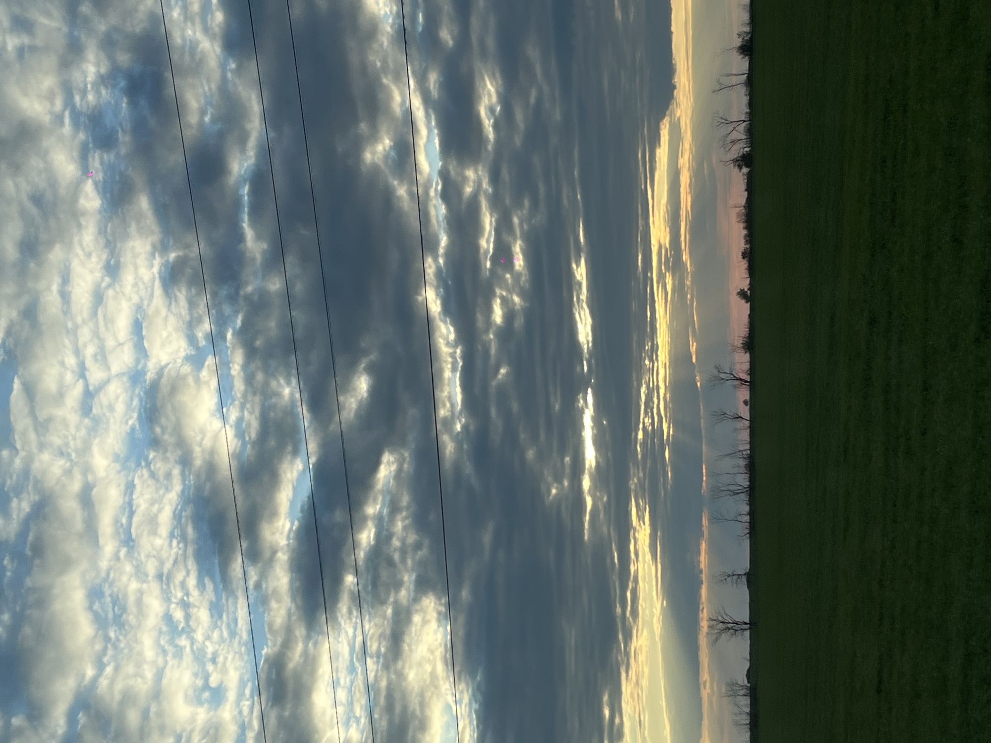 The image shows a landscape at dusk or dawn, with a field of green grass occupying the right half of the frame. A line of bare trees marks the horizon between the field and the sky. The sky is filled with textured clouds, illuminated with golden light, suggesting sunrise or sunset. Power lines are visible against the sky, running diagonally across the left side of the image. The location is Novomargaritovo, Russia.