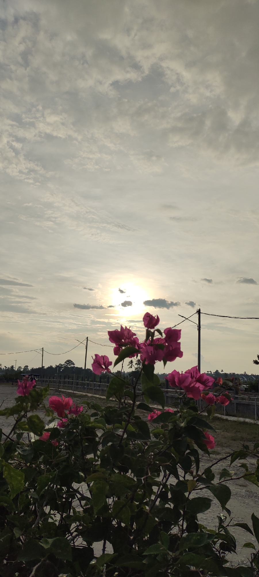 A vertical shot captures a cluster of vibrant pink bougainvillea flowers in the foreground, their petals catching the soft, diffused light of the setting sun. The sun itself is a bright, hazy disc partially obscured by scattered clouds, casting a warm glow across the sky. In the middle ground, a low wall or fence runs horizontally, separating the viewer from a landscape that includes distant trees and some structures. A utility pole with wires is visible to the right, adding a utilitarian element to the otherwise natural scene. The overall impression is one of serene twilight in a semi-rural or suburban setting, possibly Meunasahaluedrienlhoksukon Barat, Indonesia, given the context.