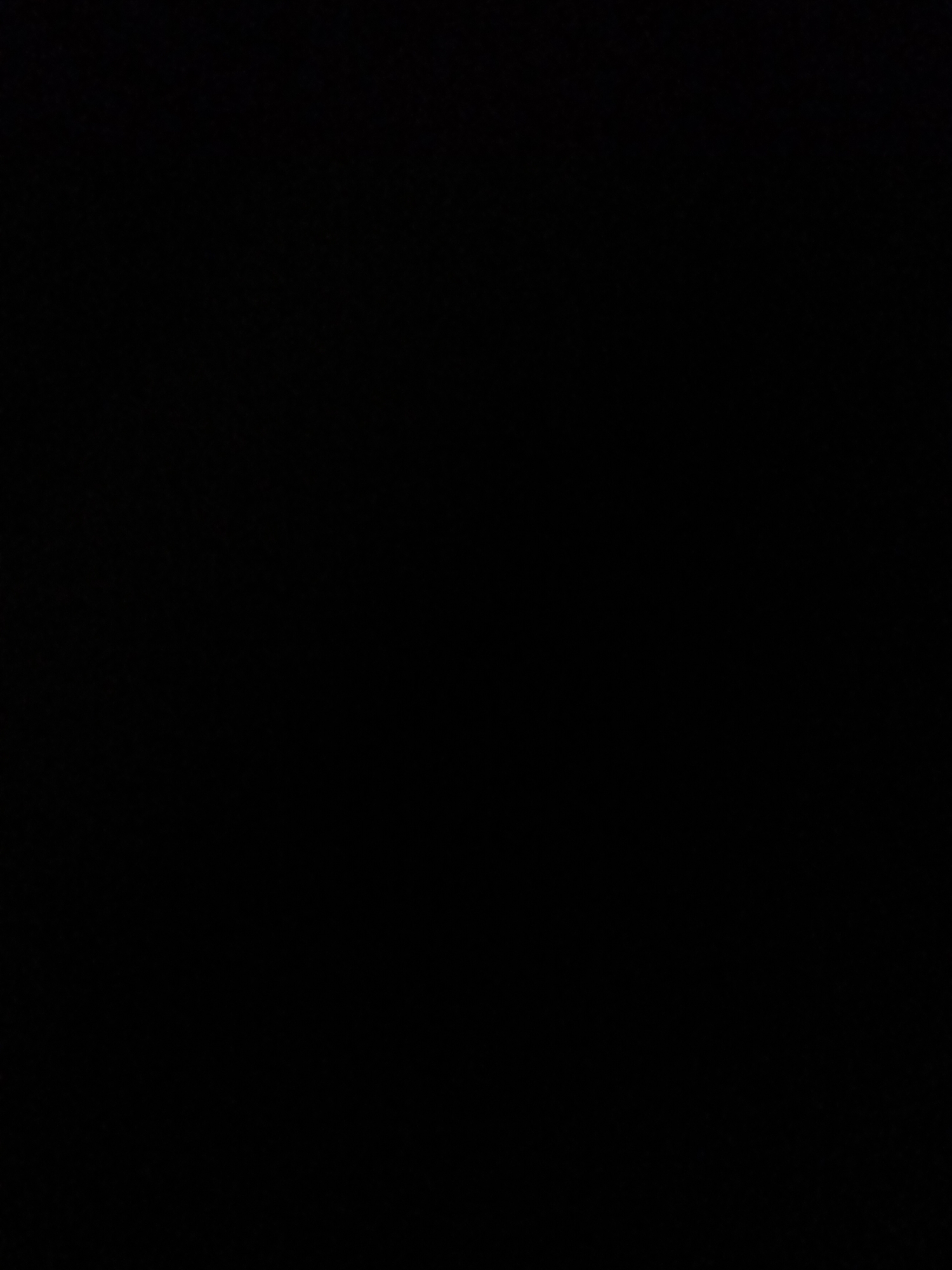 The image is completely black, with no visible subjects, objects, scene, activity, or details. There is no discernible text or information about the time of day, weather, or location.