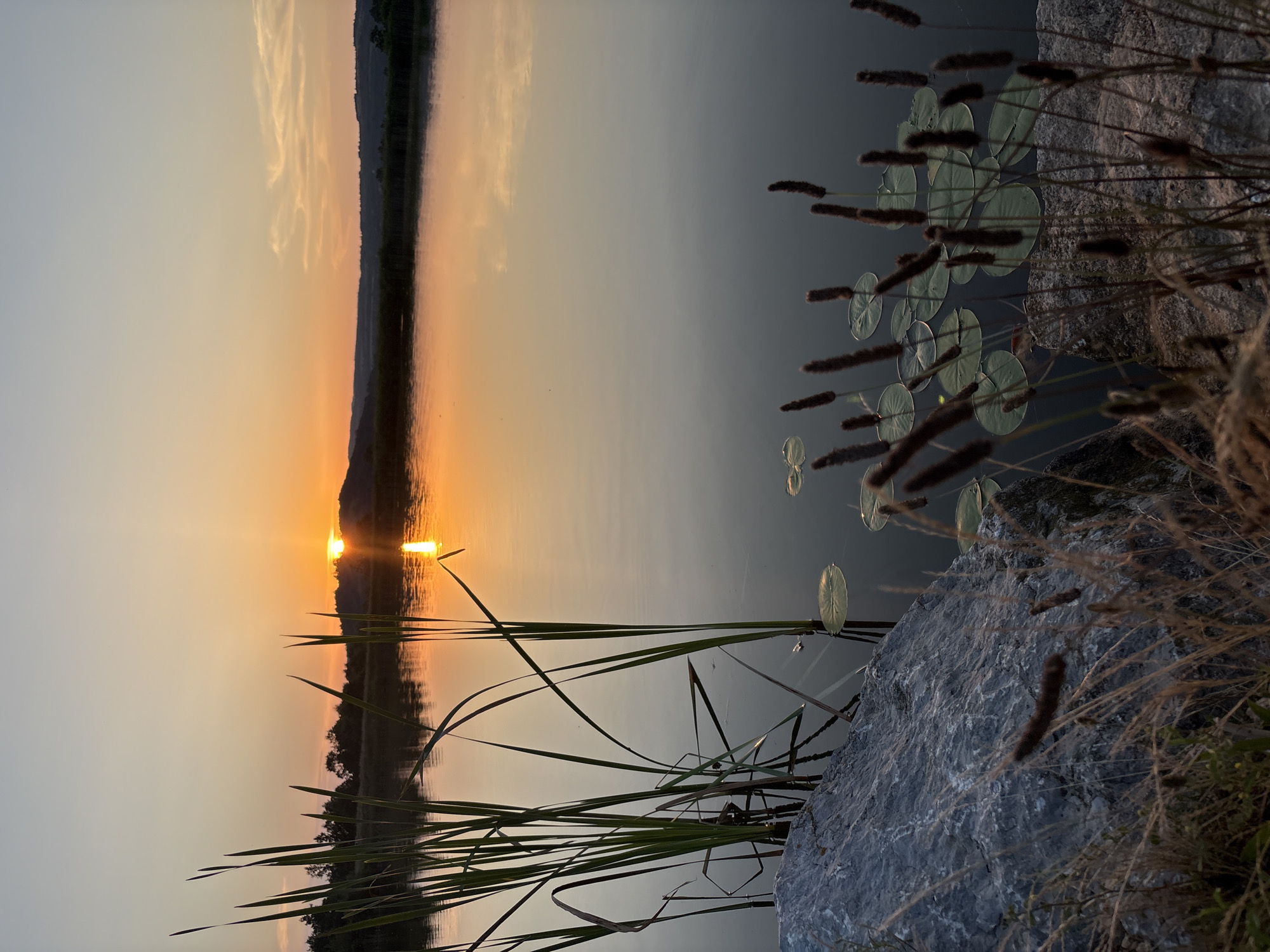 The image depicts a serene sunset over a body of water, possibly a lake or a wide river. The sun, a bright orange orb, is setting behind a silhouetted hill, casting a warm glow across the sky and reflecting on the calm water. The foreground is occupied by tall, green reeds and cattails, with a large, grey rock to the left. Lily pads are scattered on the water's surface, adding to the tranquil scene. In the distance, the opposite bank is lined with trees and more rolling hills. The location is identified as Skalsko, Bulgaria. The scene is devoid of any people or animals, focusing solely on the natural landscape.