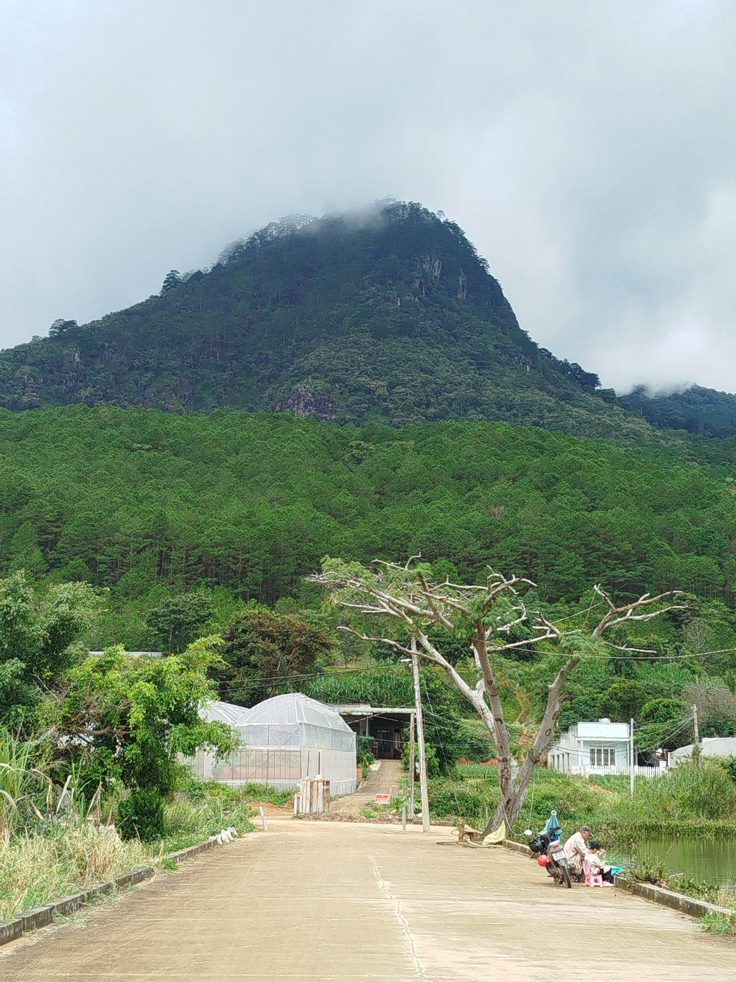 This image captures a scenic view of a mountainous landscape, likely in the city of K'Long, Vietnam. Dominating the background is a large, verdant mountain peak partially obscured by fog and clouds. The lower slopes of the mountain are covered in a dense forest of pine trees. In the foreground, a paved road runs alongside a body of water. On the right side of the road, near the water's edge, two individuals are seated on a motorcycle, with one appearing to be fishing. To the left of the road, there are greenhouses, indicating agricultural activity. The environment is lush and green, with various trees and vegetation contributing to the natural beauty of the scene.