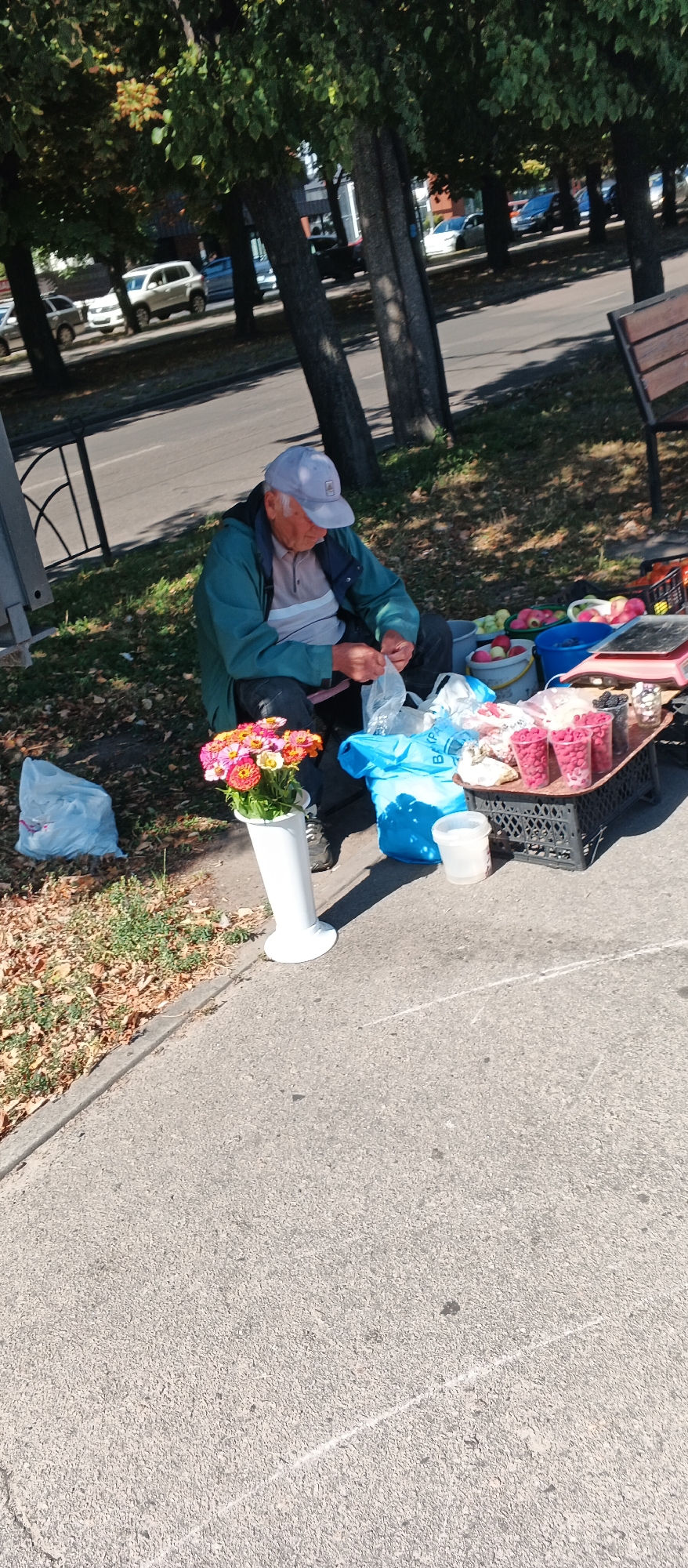 An elderly man wearing a light blue baseball cap and a green jacket sits on the ground next to a busy road in Cherkasy, Ukraine. He is sorting through plastic bags, presumably preparing produce for sale. In front of him, a white vase holds a vibrant bouquet of pink, orange, and yellow flowers. To his right, a makeshift market stall displays various fruits and berries, including raspberries in clear plastic cups, apples, and what appear to be plums or dark berries. A pink digital scale rests on the table, suggesting the transaction of goods. Bags of produce and a blue tarp are also visible, indicating a small roadside vendor operation. The scene is bathed in bright sunlight, with dappled shade cast by mature trees lining the street. Cars and a white SUV are visible on the road behind the man, underscoring the urban setting. Fallen leaves on the ground suggest it might be autumn.