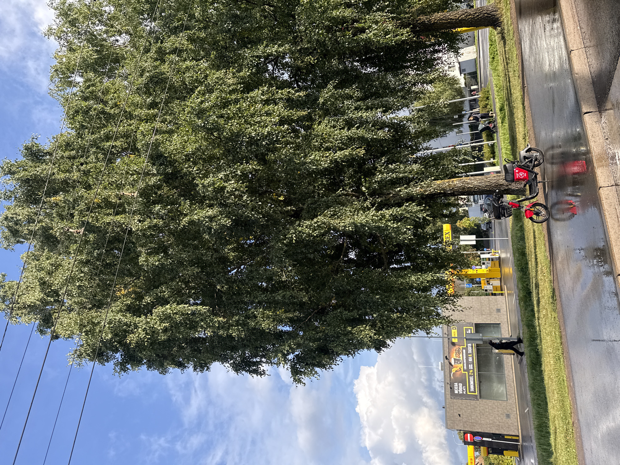 In Tallinn, Estonia, on a wet overcast day, a red electric scooter is parked on a sidewalk next to a tree. In the background, a gas station with yellow pumps and a building with a large advertisement are visible. A person in dark clothing walks away from the camera on the sidewalk. The street is wet and reflects the sky and surrounding objects, indicating recent rain. Large trees with green leaves dominate the foreground and mid-ground. Power lines are strung across the top of the image.