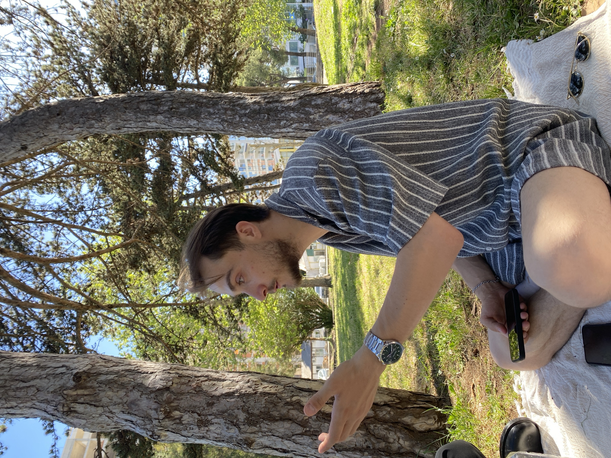 The image, rotated counter-clockwise, depicts a man sitting outdoors on a sunny day. He is resting on a white blanket spread over a grassy area, under the partial shade of large trees, possibly pine trees. The man has short dark hair and a beard, and is wearing a grey and white striped short-sleeved shirt with light-colored shorts. On his left wrist, he wears a silver watch with a dark face. He is holding a black smartphone in his left hand, and another black smartphone lies on the ground beside him. His right hand is extended forward, palm slightly open, as if reaching or gesturing towards the ground or a nearby tree trunk.
Near the man, a pair of gold-rimmed sunglasses rests on the white blanket. The background reveals a park-like setting with more trees and distant modern buildings or apartments, suggesting an urban or resort area. The bright sunlight and clear sky indicate a pleasant day. The man appears focused, looking intently at something in front of him on the ground. The scene conveys a sense of casual outdoor activity, possibly resting, observing nature, or engaging with a device in a relaxed setting in Budva, Montenegro. No visible text is discernible.