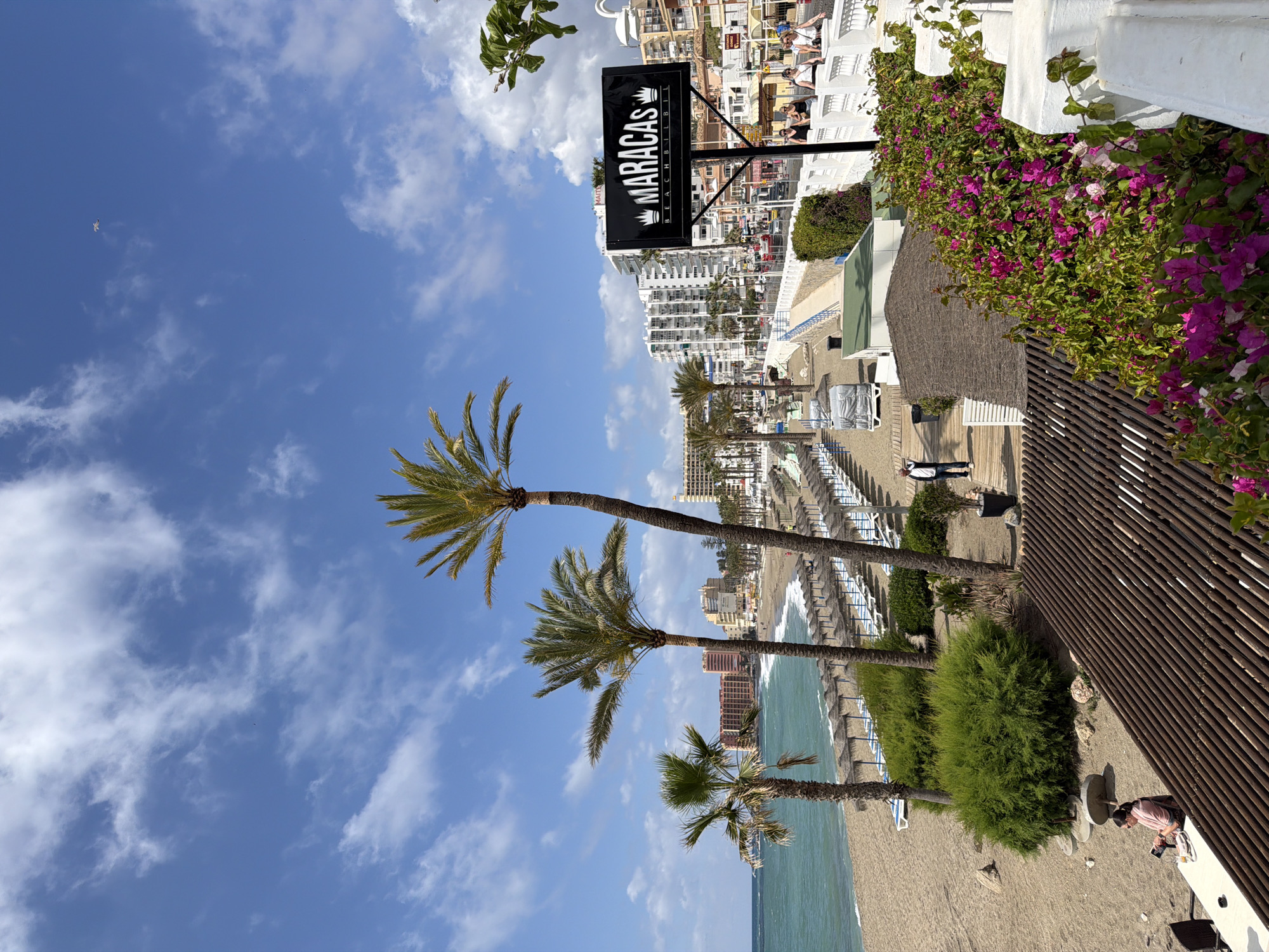 The image presents a sunny beach scene in Arroyo de la Miel-Benalmádena Costa, Spain. The sky is blue with scattered white clouds. In the foreground are three palm trees of varying heights, aligned parallel to the coastline. A sandy beach stretches along the sea, dotted with numerous beach umbrellas and lounge chairs arranged in rows. Buildings, primarily white in color, line the backdrop along the beach. A sign for "MARACAS BEACH BISTRO" is visible at the end of the beach. Two people are walking along the beach pathway. A person is seated at a table on the beach. Lush green vegetation, including shrubs and flowering plants, is present on the right side of the image, running parallel to the beach. A wooden, slatted fence is partially visible on the right side, adding depth to the scene.