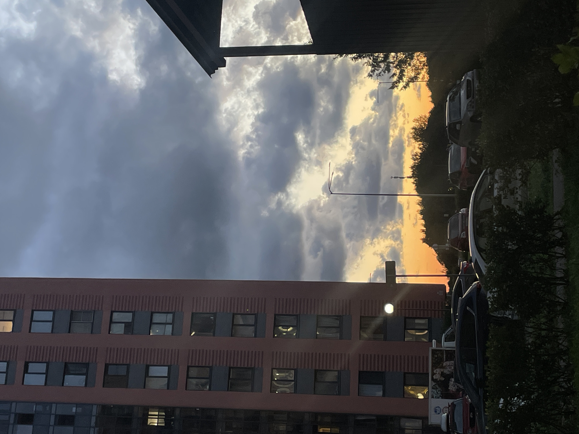 This image captures a street scene in the city of Saint Petersburg, Russia, at dusk. The sky is dominated by dramatic, dark clouds, with a sliver of orange and yellow sunset peeking through the horizon. On the left, a tall, reddish-brown apartment building with numerous windows is prominently featured. To the right, a portion of a dark-colored building with a pitched roof is visible, casting a shadow over the scene. In the foreground, several cars are parked. Among them, a dark SUV is partially obscured by a row of dense green bushes. A white truck with graphics on its side is also visible, parked to the left of the SUV. Streetlights are present, including one with a spherical lamp near the apartment building. Trees and foliage are scattered throughout the background. The overall atmosphere is one of an urban environment transitioning from day to night under a moody sky.