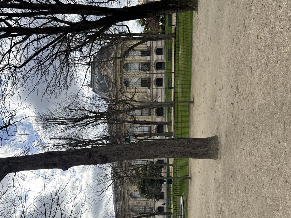 This image depicts a park scene in Paris, France, with the Grand Palais building prominently featured in the background. The vantage point is likely from the Jardins des Champs-Élysées, looking towards the south wing of the Grand Palais, which historically housed the Palais de la Découverte.
In the background, a large, ornate stone building with classical architecture stands under a partly cloudy sky. The building features a prominent grey domed roof at its center, flanked by sections with numerous tall, arched windows with dark frames. The facade includes architectural details such as pilasters and cornices. The lower level of the building has a series of smaller, dark arched windows or doorways.
The midground consists of a strip of vibrant green grass, delineated by a low, black metal fence. Several dark park benches are visible on the grass, positioned to face the building. Numerous deciduous trees, bare of leaves, are distributed throughout the scene, both in the midground and foreground, their dark branches creating a skeletal outline against the sky and building. A dark green lamppost with a classical design is partially obscured by a thick tree trunk in the mid-left.
The foreground is composed of a wide, light-colored gravel or dirt path. A single, small, indistinct human figure is faintly visible walking on a path in the far left background, behind the fence and trees. The overall atmosphere suggests a cool, overcast day, possibly late winter or early spring.
