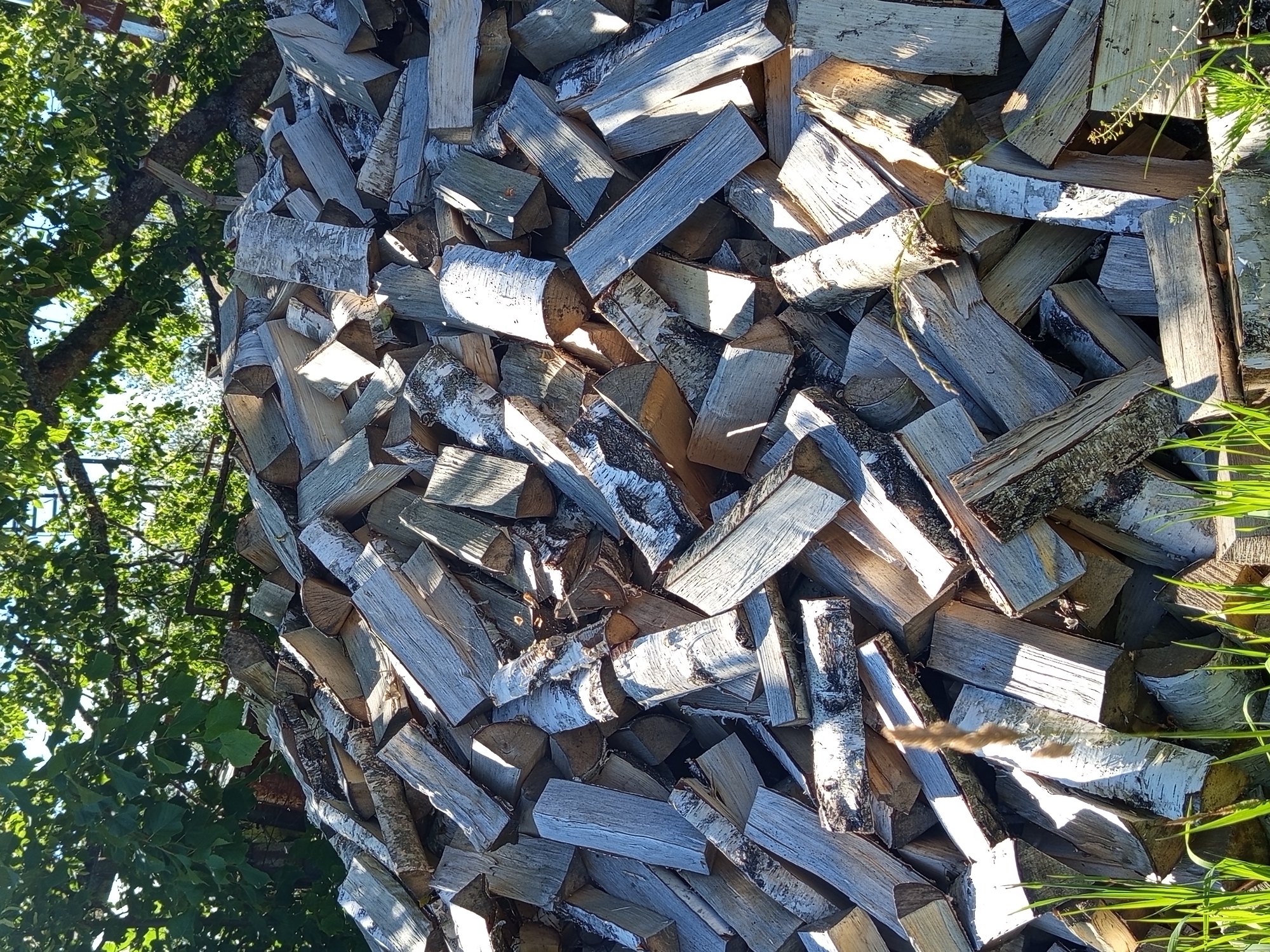 This media file depicts a large stack of cut firewood, primarily birch, piled outdoors in Ostrovtsy, Russia. The logs are of various sizes and lengths, with some showing the distinctive white bark of birch trees. They are arranged in a haphazard yet sturdy manner, indicating they have been stacked for storage. The scene is illuminated by natural sunlight, suggesting it is daytime, likely during a sunny period given the strong shadows cast by the wood.
The background features the lush green foliage of trees, with sunlight filtering through the leaves, creating dappled light effects on the firewood. To the right side of the image, blades of green grass are visible, further confirming an outdoor setting. The overall impression is one of preparation for cooler weather, with a substantial amount of wood gathered and stacked. There are no people visible in the image, and the focus is entirely on the objects and the natural environment. The visual cues, such as the type of wood and the surrounding vegetation, are consistent with a rural or semi-rural location. No text is visible in the media file.