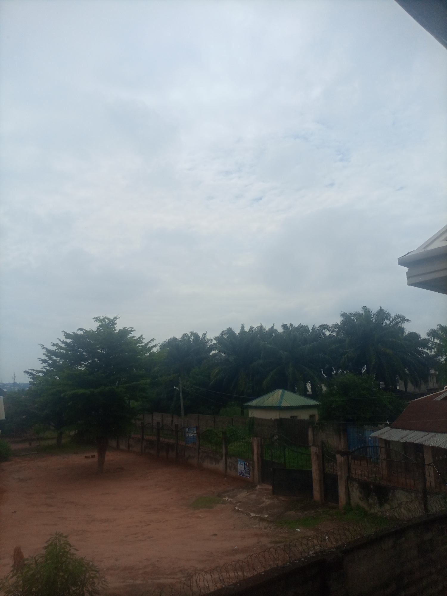 The image depicts an overcast day in Nkpor, Nigeria, with a focus on a residential or commercial property. The foreground is dominated by a patch of reddish-brown soil, with a thin layer of barbed wire fencing along the very bottom edge of the frame, suggesting a boundary or security measure. To the left, a small, leafy green plant is visible.
Moving into the mid-ground, a large, mature tree with dense foliage stands prominently in the center-left of the image, casting a slight shadow on the ground. Behind this tree, a high fence constructed of concrete blocks and topped with metal railings runs horizontally across the scene. Through the fence, a few gates are visible, including a large black metal gate. Beyond the fence, a building with a green, pitched roof and cream-colored walls is partially visible, as is another building with a reddish-brown, corrugated metal roof.
The background is filled with a dense canopy of palm trees, their fronds creating a dark green mass against the sky. The sky itself is heavily clouded, with a muted, grayish-white hue, indicating overcast conditions. In the far distance, to the left, a few structures and possibly communication towers can be faintly discerned. The overall impression is of a tropical environment, likely a compound or a plot of land with significant greenery.