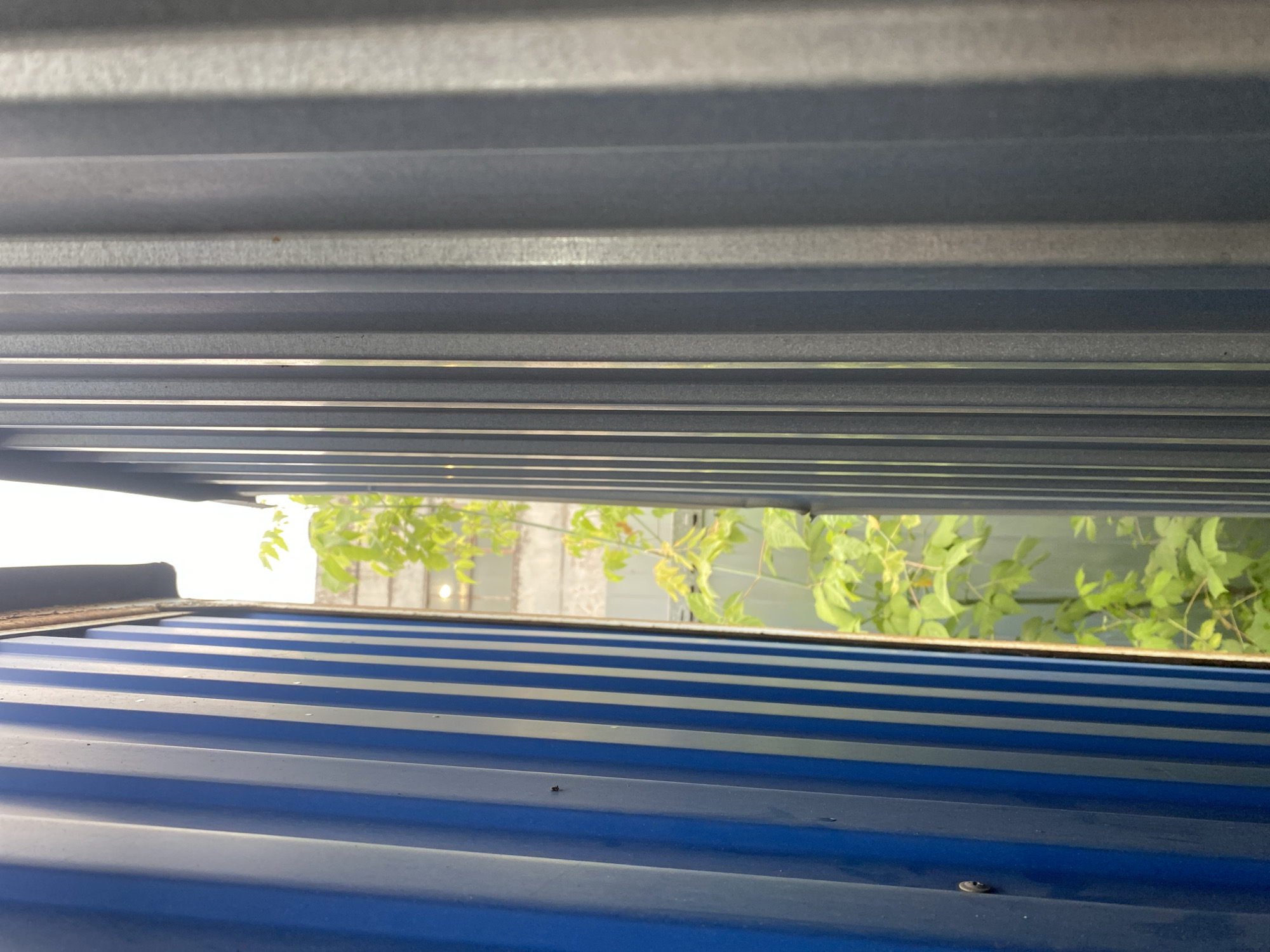 The image depicts a narrow gap between two corrugated metal walls, one blue and the other grey. Lush green foliage is visible in the background, with a building structure partially obscured behind the plants. The scene appears to be outdoors, with natural light illuminating the environment. The perspective is from a low angle, looking upwards through the gap. The location is specified as Lipetsk, Russia. There are no people or discernible actions in the image.