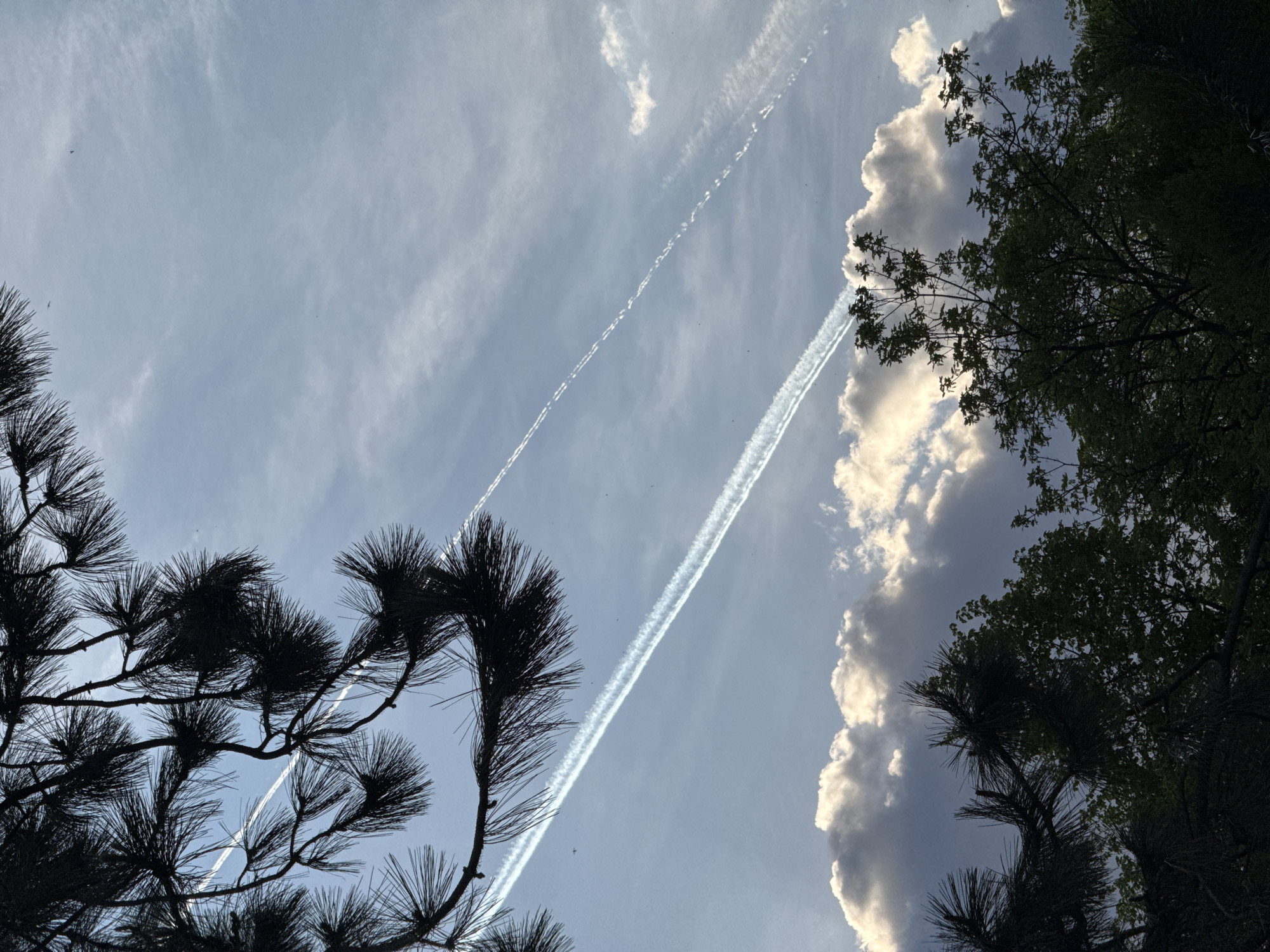 The image shows a view of the sky framed by trees. The sky is blue with patches of white clouds. Two prominent contrails, presumably from aircraft, are visible against the sky. One is a solid, straight line, while the other appears more fragmented. The silhouettes of trees are present on the left and right sides of the frame. The foliage appears dark against the bright sky. There are no people visible. The location is unknown.