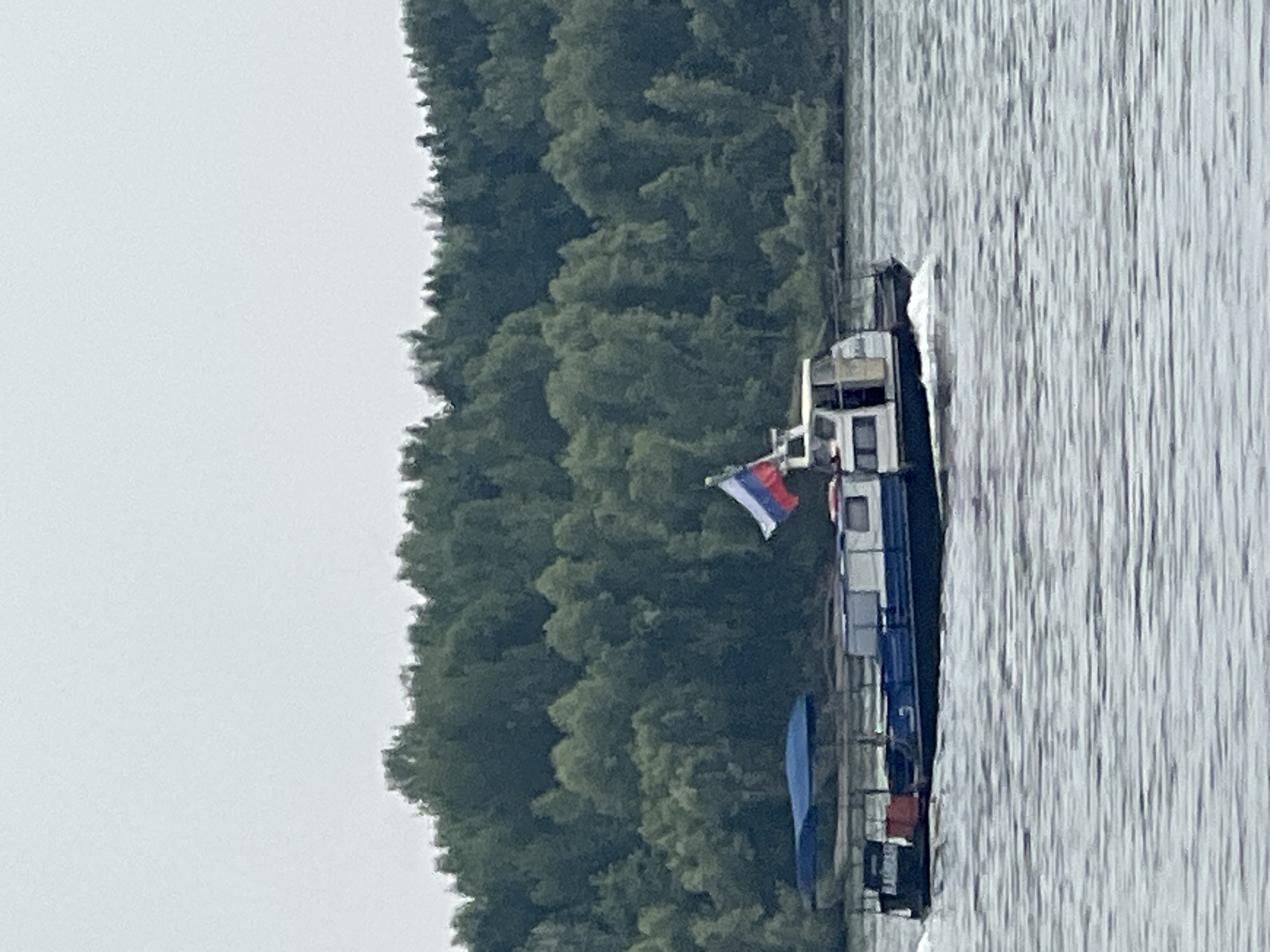 In Mochishche, Russia, a twin-decked boat travels on a body of water. The boat has a blue hull and a white upper section with windows. A Russian flag is visible at the stern. The boat is moving, creating a wake. Behind the boat, a dense forest of green trees lines the shore under an overcast sky. The water is rippled.