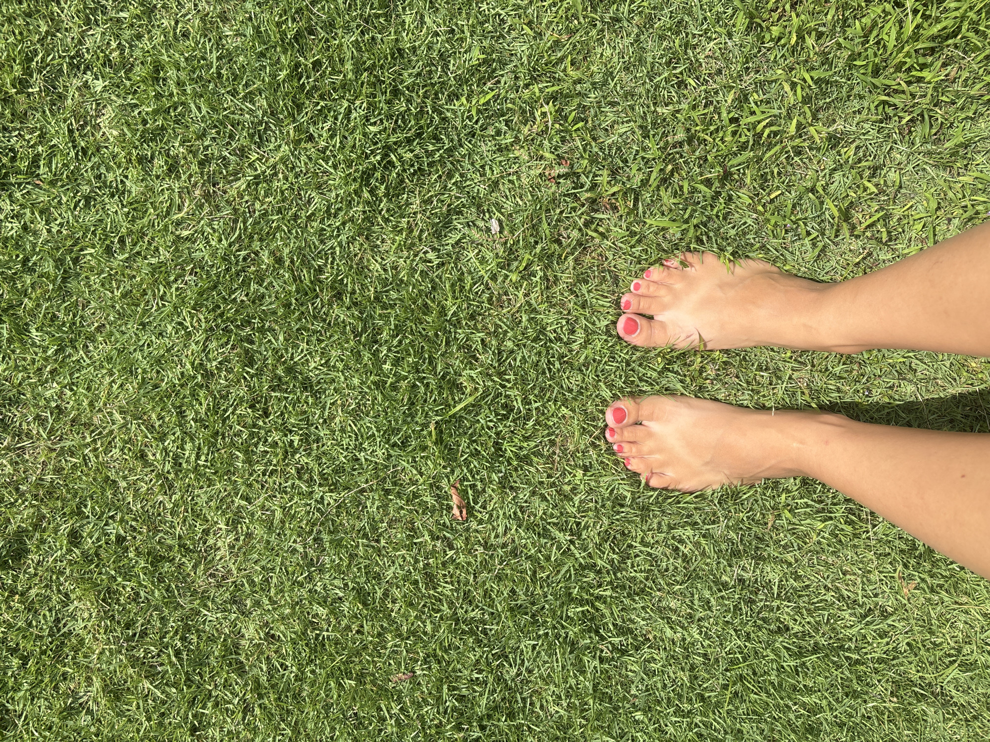 A top-down view of two feet standing on a patch of dense green grass. The feet appear light-skinned with red painted toenails. The legs extend upwards from the feet, partly visible in the frame. The background is entirely filled with green grass. The location is unspecified, but the prompt suggests it could be Mengwi, Indonesia.
