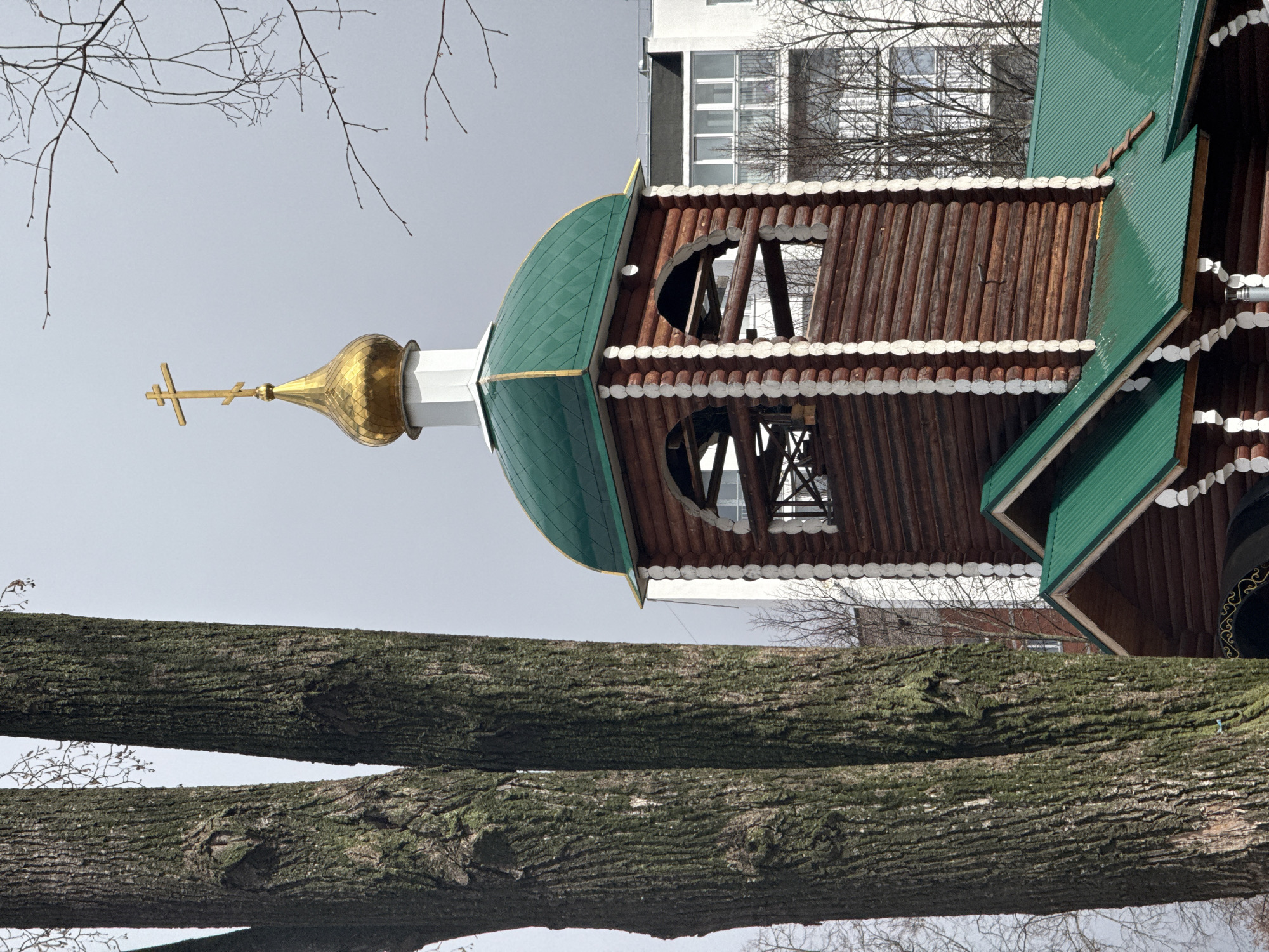 The image depicts a wooden church with a green roof and a gold dome topped with a cross, likely located in Chaikovsky, Russia. The church's tower is made of logs with decorative white trim. The foreground features two large tree trunks with textured bark. In the background, a modern building with windows is visible. The sky is overcast, suggesting a cloudy day.