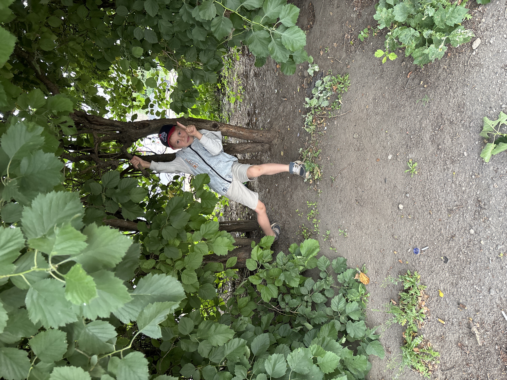 In Rusanovo, Russia, a young boy wearing a denim jacket, white t-shirt, beige shorts, a baseball cap, and sneakers is posing in a park. He is partially obscured by dense green foliage and tree trunks. The boy is holding onto a tree branch with his left hand and has his right hand raised, with his index finger pointing upwards. He is looking directly at the camera with a playful expression. The ground is covered in dirt and scattered leaves, with some small plants growing. A blue object, possibly a bottle cap, is visible on the ground near the boy's feet.