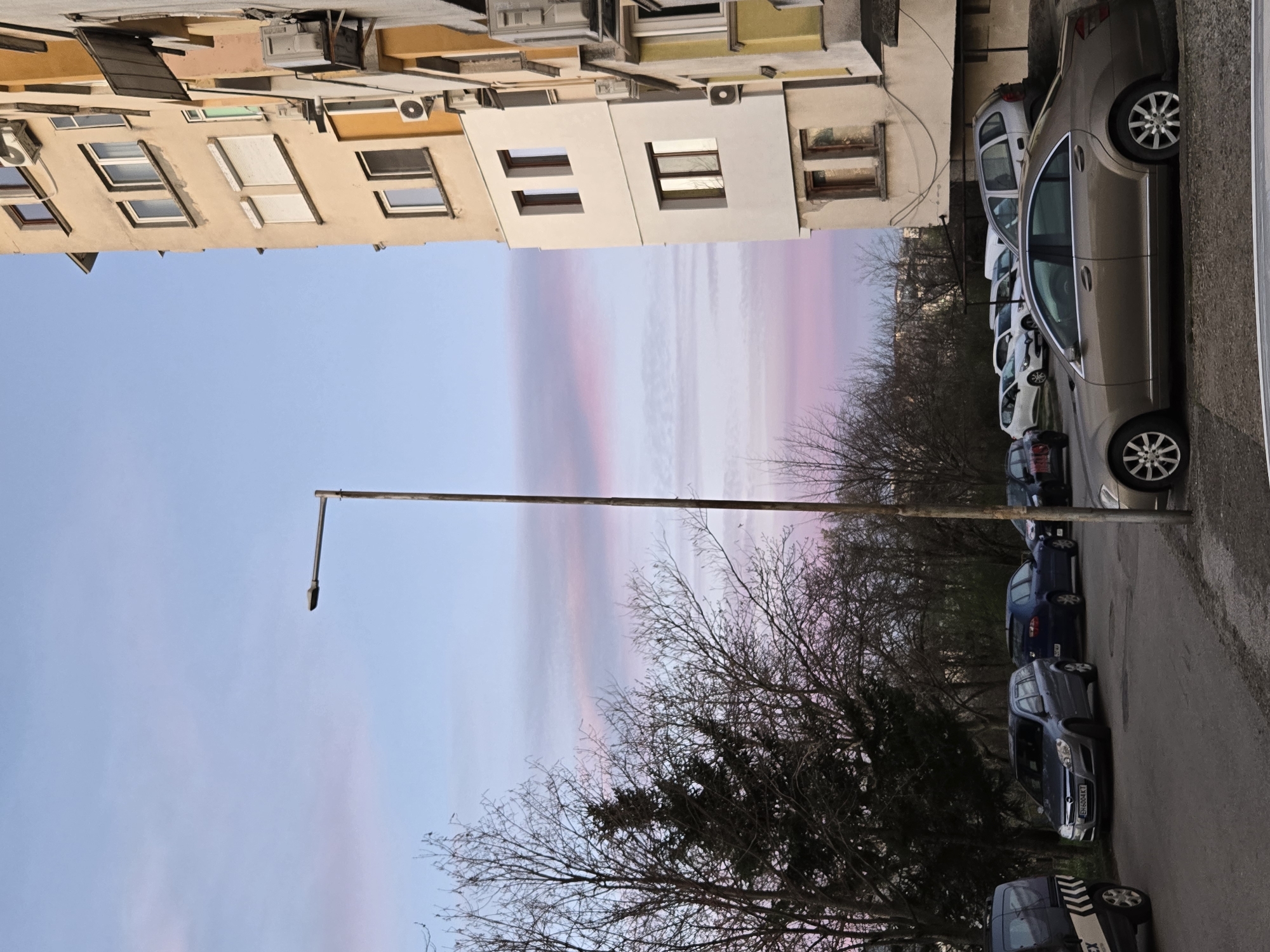 The image shows a street scene in an urban environment. Buildings with various windows and architectural details are visible on the left, situated on top. The sky above is filled with a pastel-colored sunset. A tall, bare tree occupies the center of the image, extending along the right side. Parked cars are lined up along the curb. A lone street light pole stretches across the scene.