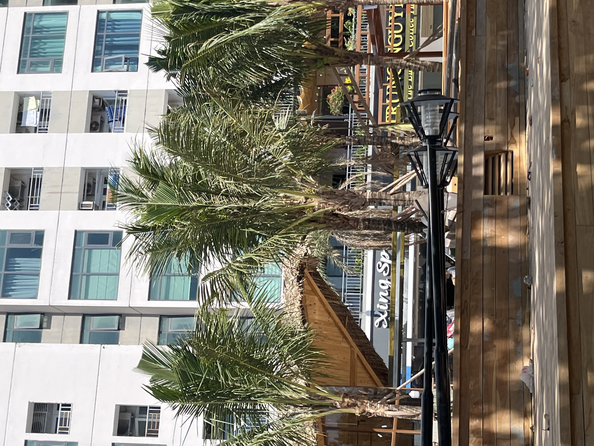The image shows an outdoor scene in Bac Nha Trang Ward, Vietnam. The focus is on the combination of tropical and urban elements. There are several palm trees in the foreground, their fronds dominating the view. Behind them is a multi-story white building with numerous windows, some of which have clothes hanging outside.
To the right of the palm trees is a structure with wooden planks, partially obscuring a building with the words "Xing Sp" vertically written on it. Further back, there are signs with Vietnamese text, including "COFFEE NGUY." A lamppost stands nearby. The scene is well-lit, suggesting a sunny day.