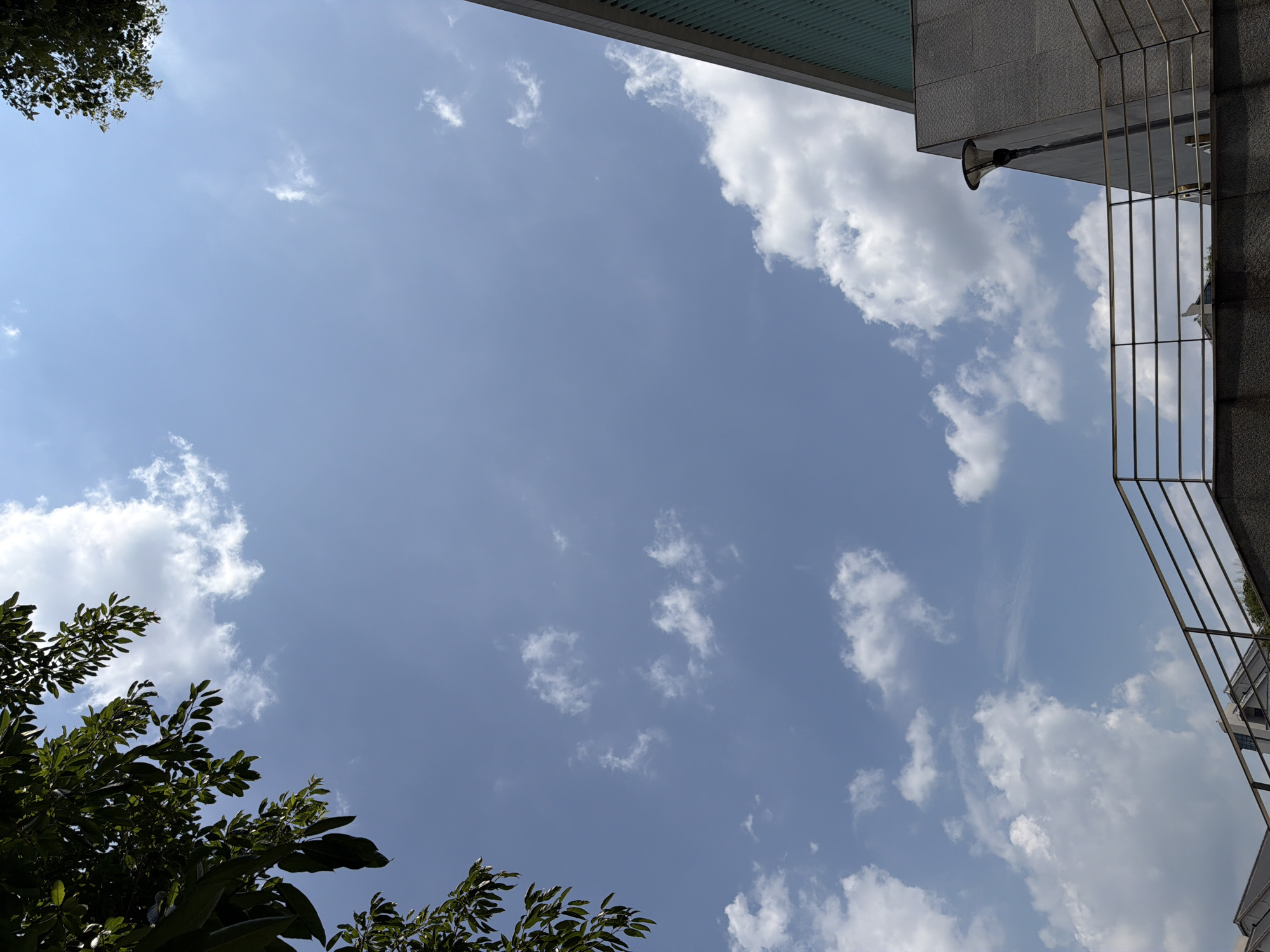An outdoor, low-angle shot captures a clear blue sky with scattered white clouds. In the upper left corner, dark green leaves from a tree branch extend into the frame. To the right, the upper section of a modern building with a patterned green facade is visible. In the lower right portion of the image, a concrete structure with a railing runs horizontally across the foreground, with a modern building and a street lamp visible behind it. The image appears to be taken in the city of Jiangjin, China.