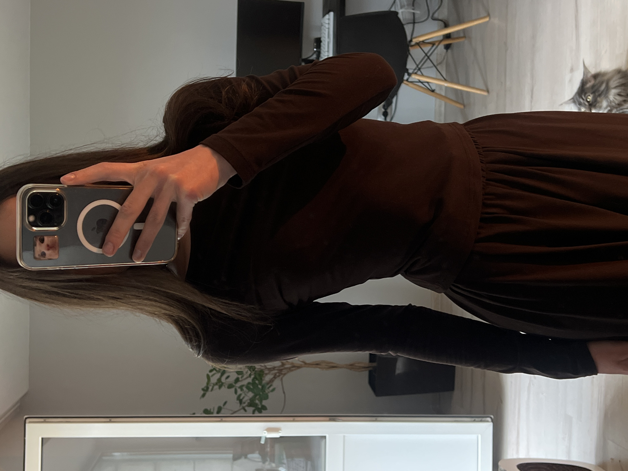 A mirror selfie is captured indoors, likely within a home in Ternopil, Ukraine. The primary subject is a person, appearing to be female with long, dark hair, wearing a dark brown long-sleeved top and a matching pleated skirt or dress. They are holding a silver/grey iPhone (possibly a Pro Max model, indicated by the triple camera array) with a clear case showing a circular MagSafe magnet outline. A reflection of the person's eye and nose is visible on the phone's screen.
In the background, to the right, a fluffy grey and tabby cat with prominent eyes is seen peeking into the frame. The room features light-colored walls and a light-toned wooden or laminate floor. Visible objects include a modern-style chair with wooden legs and black metal supports, dark electronic devices or furniture, and a potted plant reflected in the lower section of the mirror. The lighting suggests it is daytime. No explicit text is visible, aside from the faint outline of the Apple logo on the phone case.