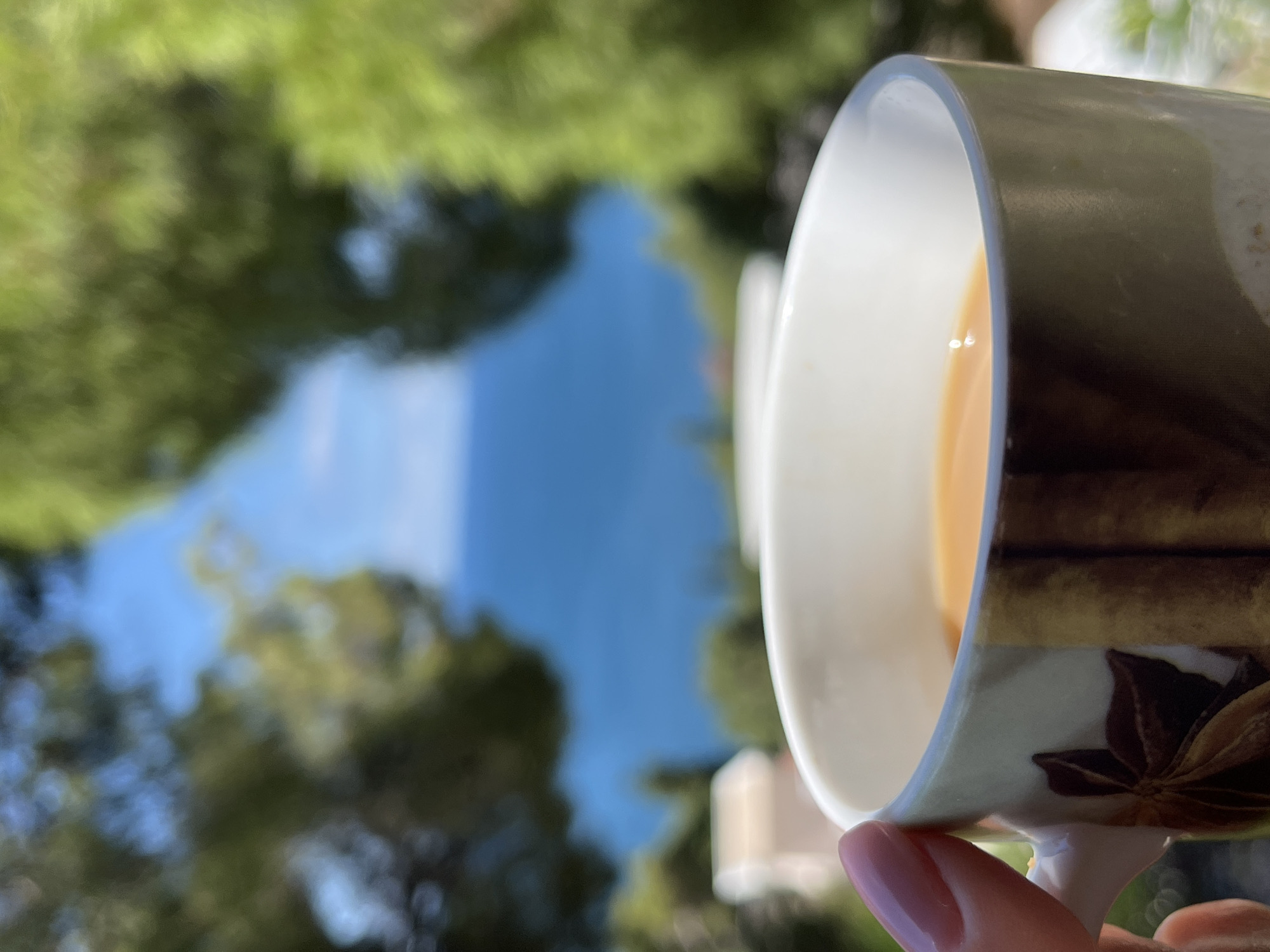 A close-up shot shows a person's hand with pink nail polish holding a white mug filled with a light brown beverage. The mug has a decorative pattern featuring what appears to be star anise. In the background, out of focus, is a bright blue body of water, likely the Adriatic Sea, seen between lush green trees. The scene suggests a serene morning in Šušanj, Montenegro, overlooking the coastline.