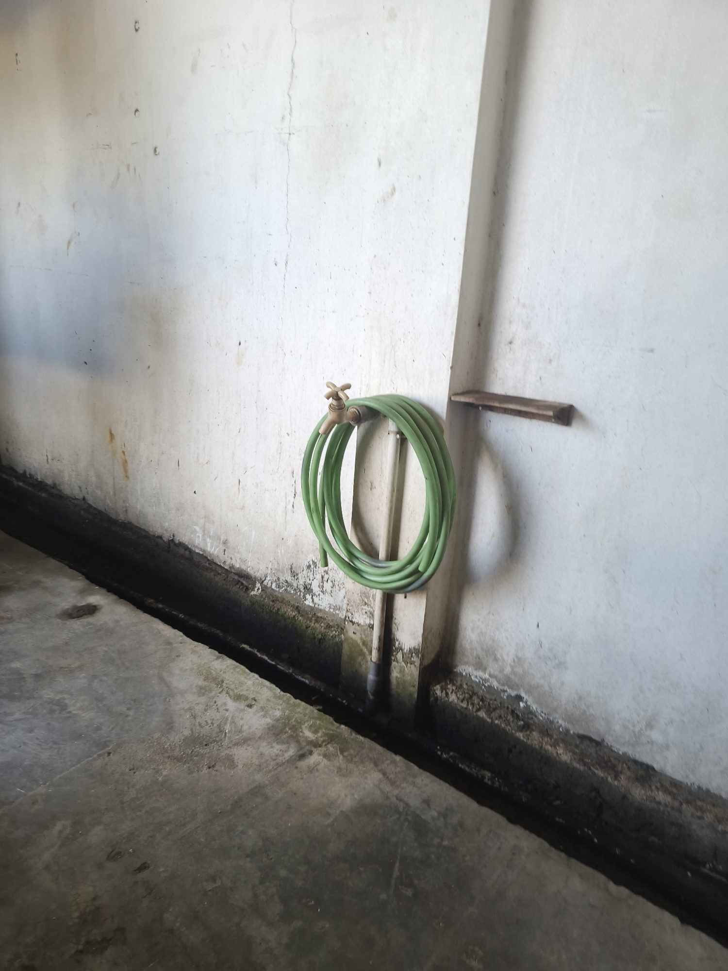 A coiled green garden hose hangs from a brass faucet attached to a pipe against a concrete wall. A rough wooden shelf is mounted on the wall to the right of the hose. The floor in front of the wall is concrete and appears to be damp in places, with a dark, narrow drain running along the base of the wall. The wall itself is a pale, off-white color and shows signs of age, with some staining and visible cracks. The scene suggests an outdoor or semi-outdoor utility area, possibly in a backyard or service space. This location is within the city of Pangkalpinang, Indonesia.